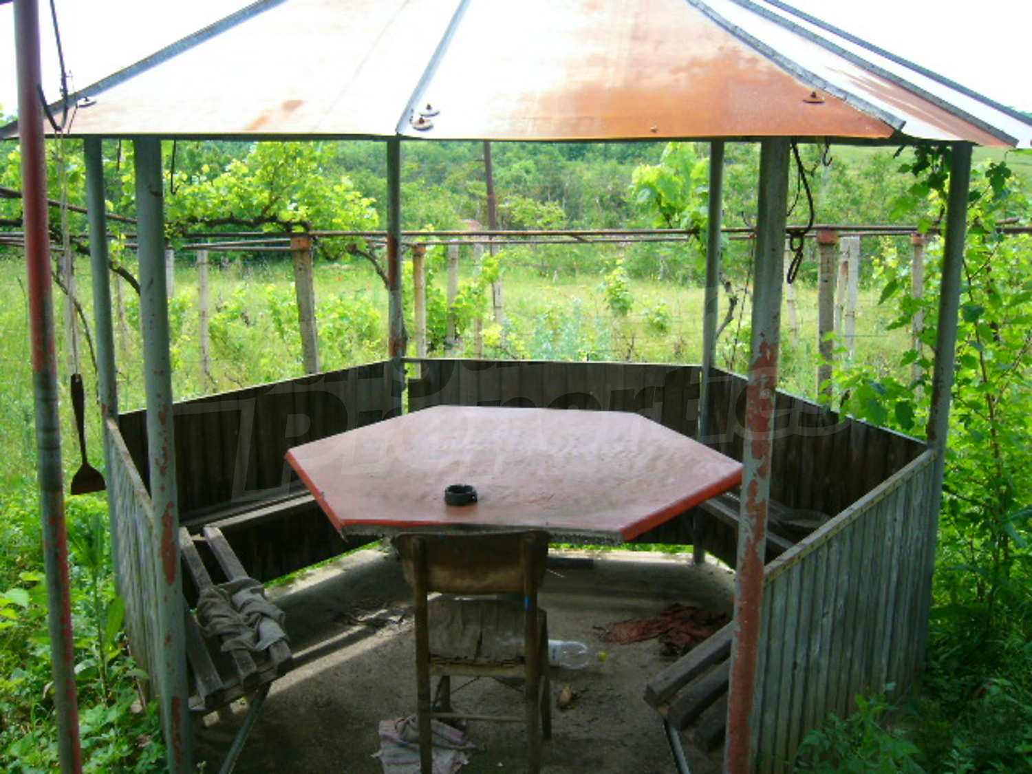 Gallery Picture 14