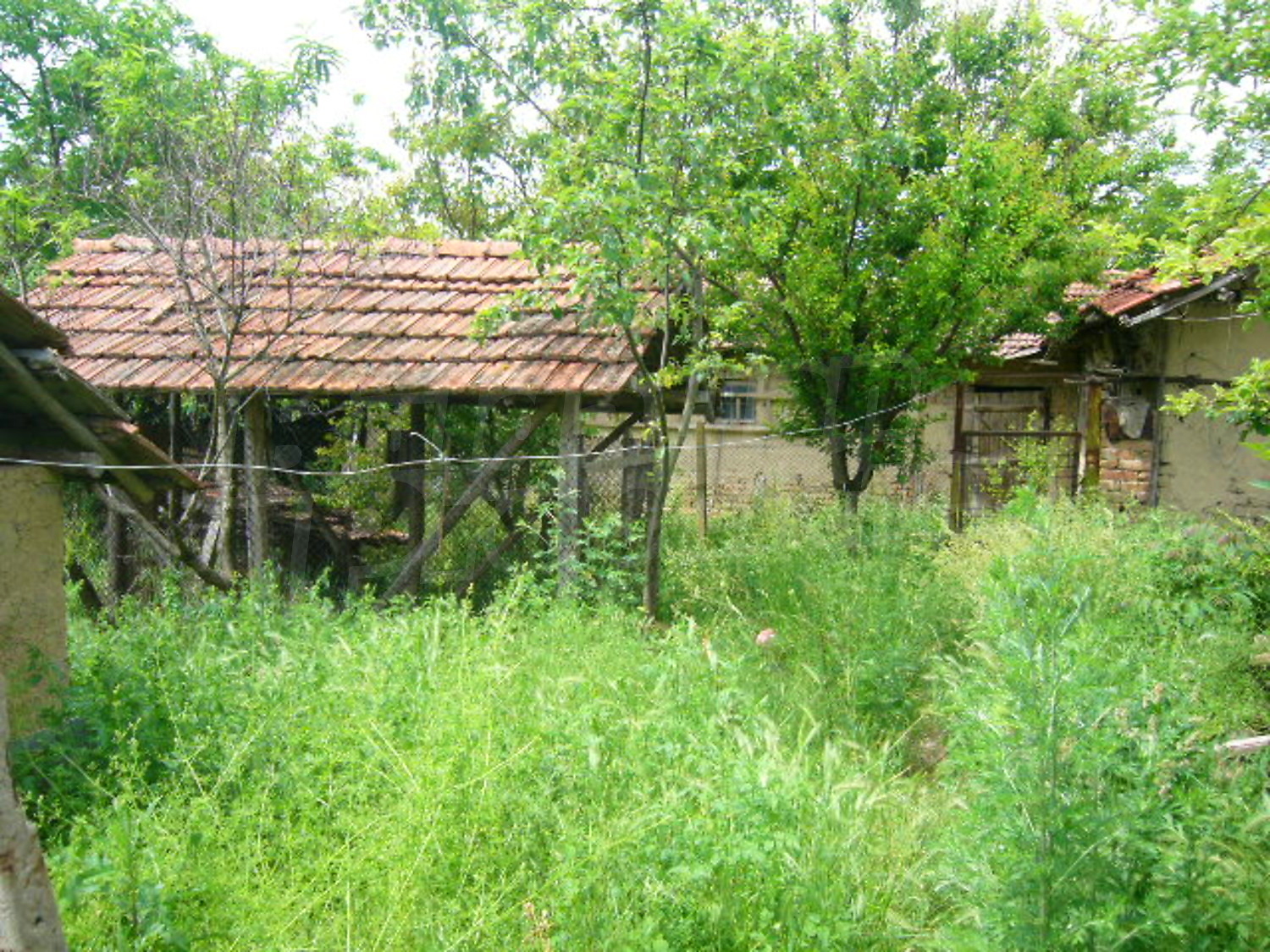 Gallery Picture 16