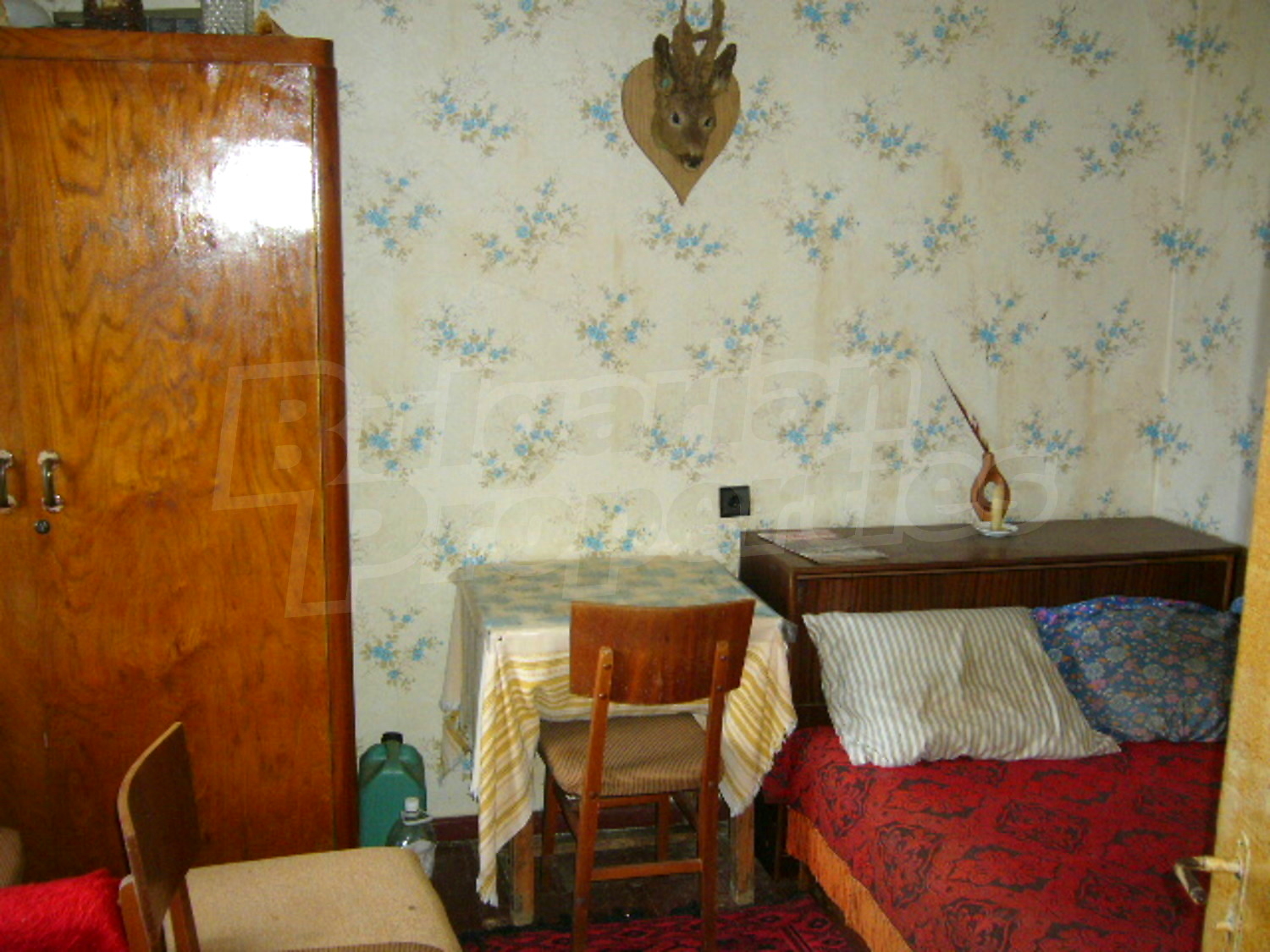 Gallery Picture 5
