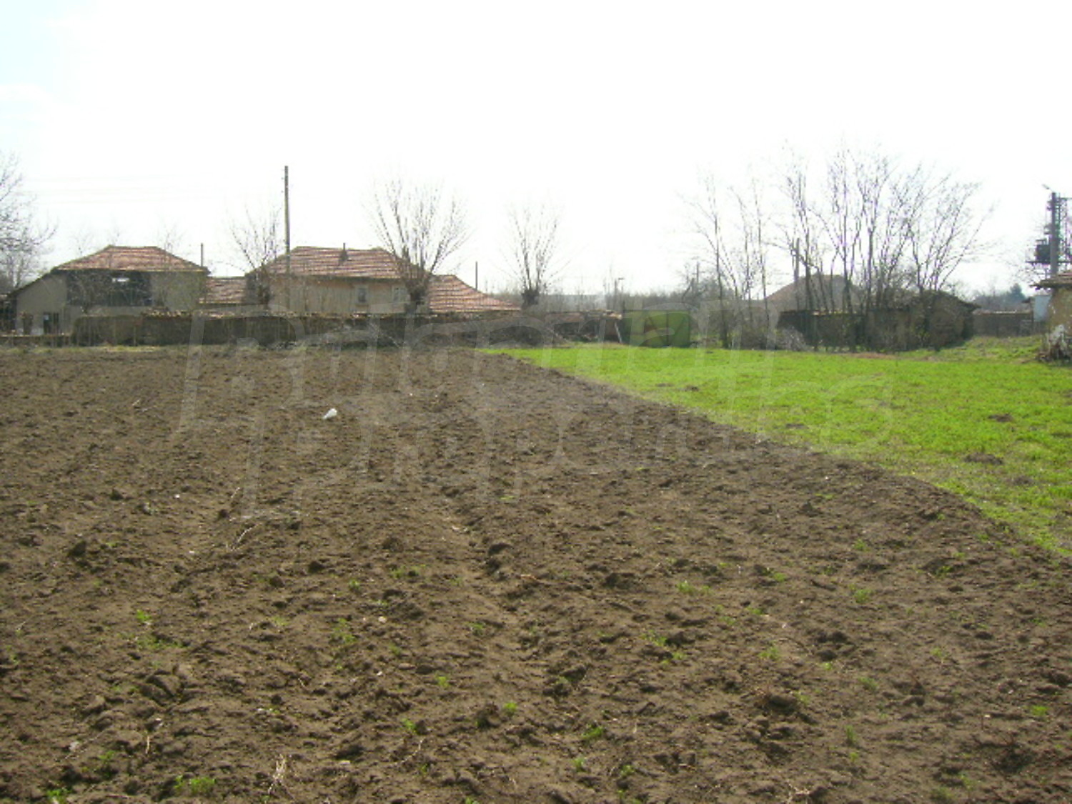 Gallery Picture 10