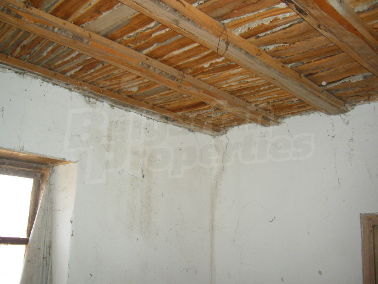 Gallery Picture 9