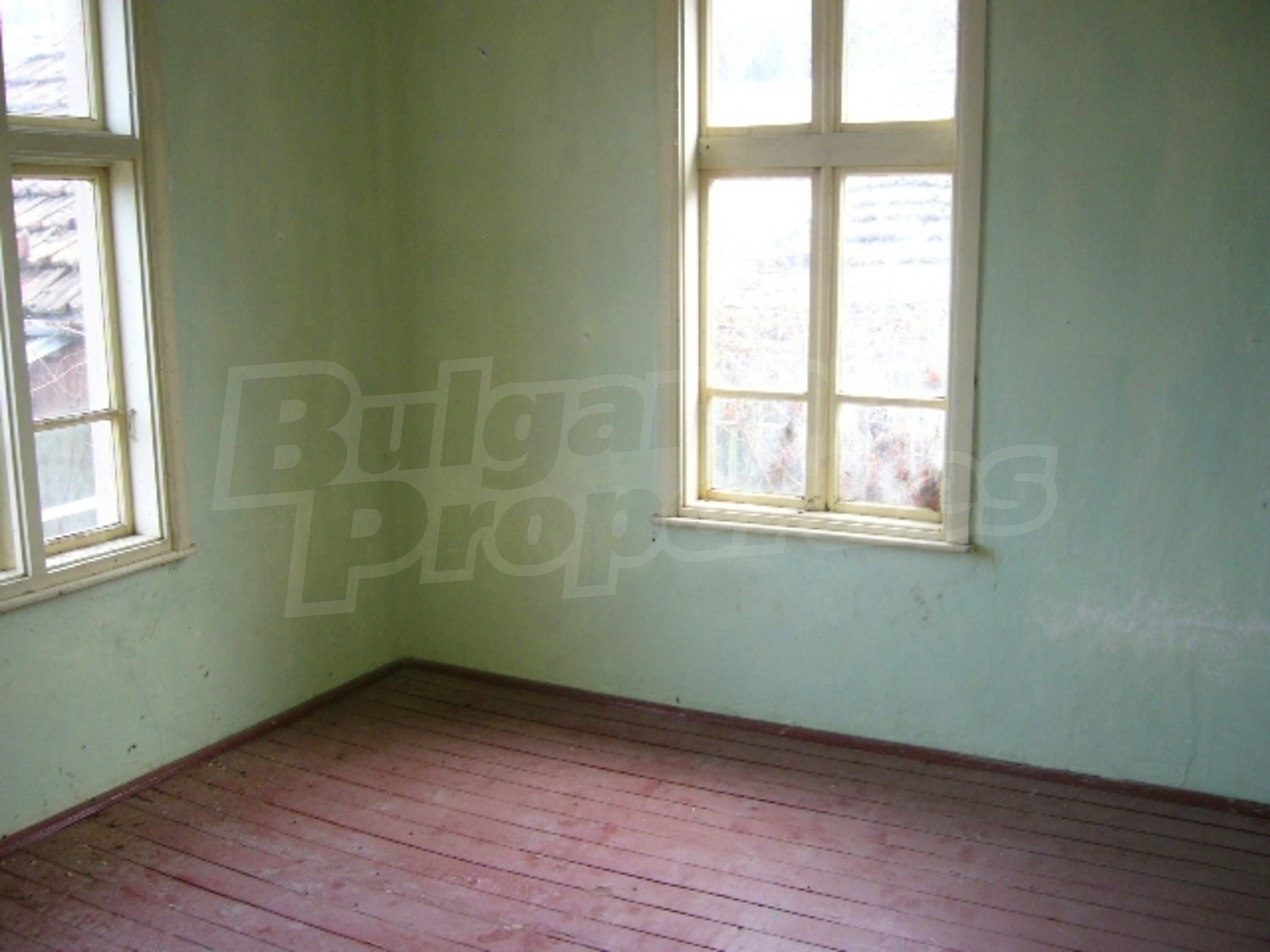 Gallery Picture 10
