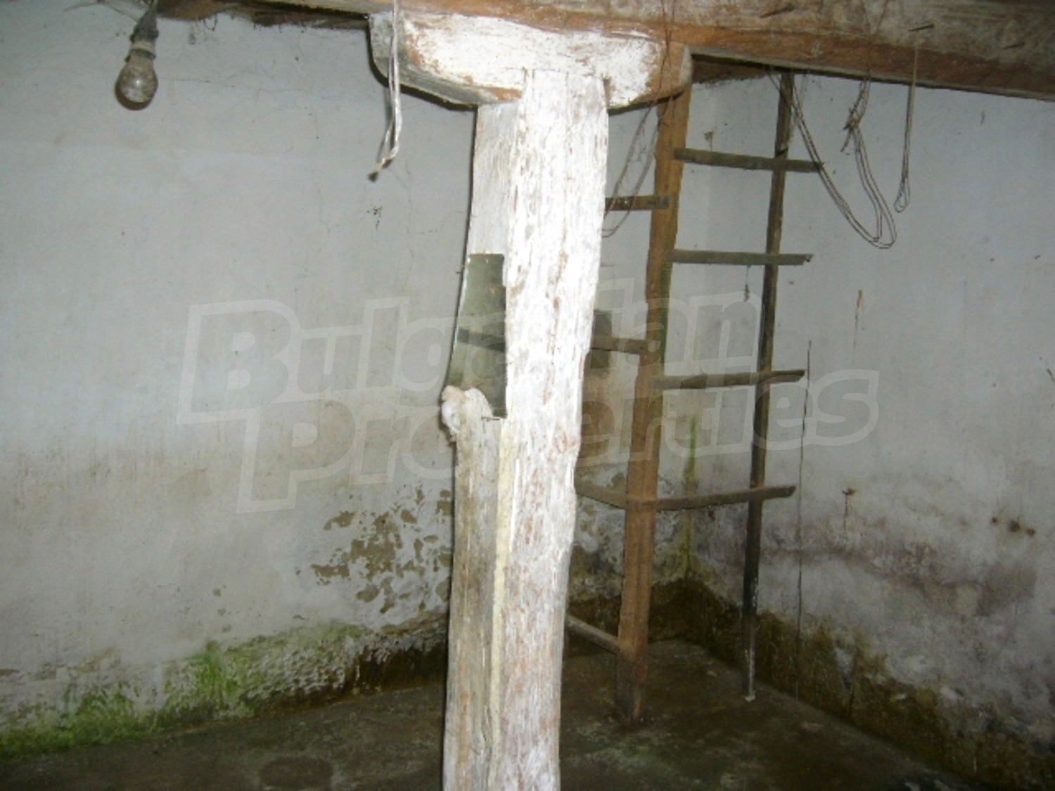 Gallery Picture 12