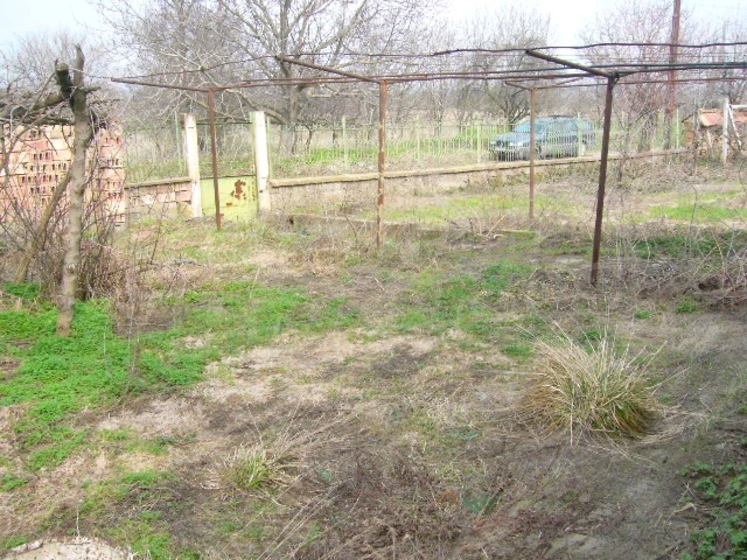 Gallery Picture 13