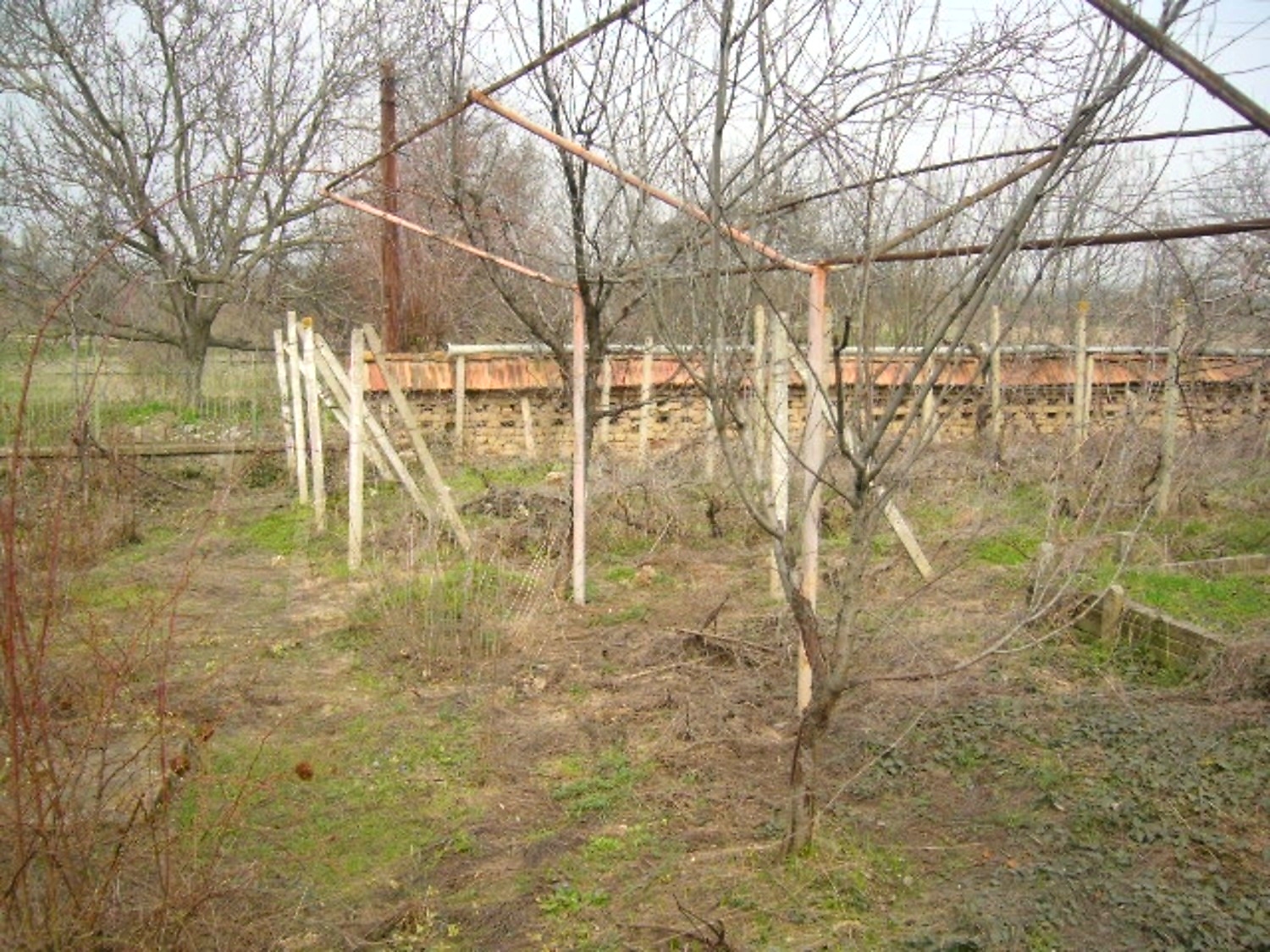 Gallery Picture 14