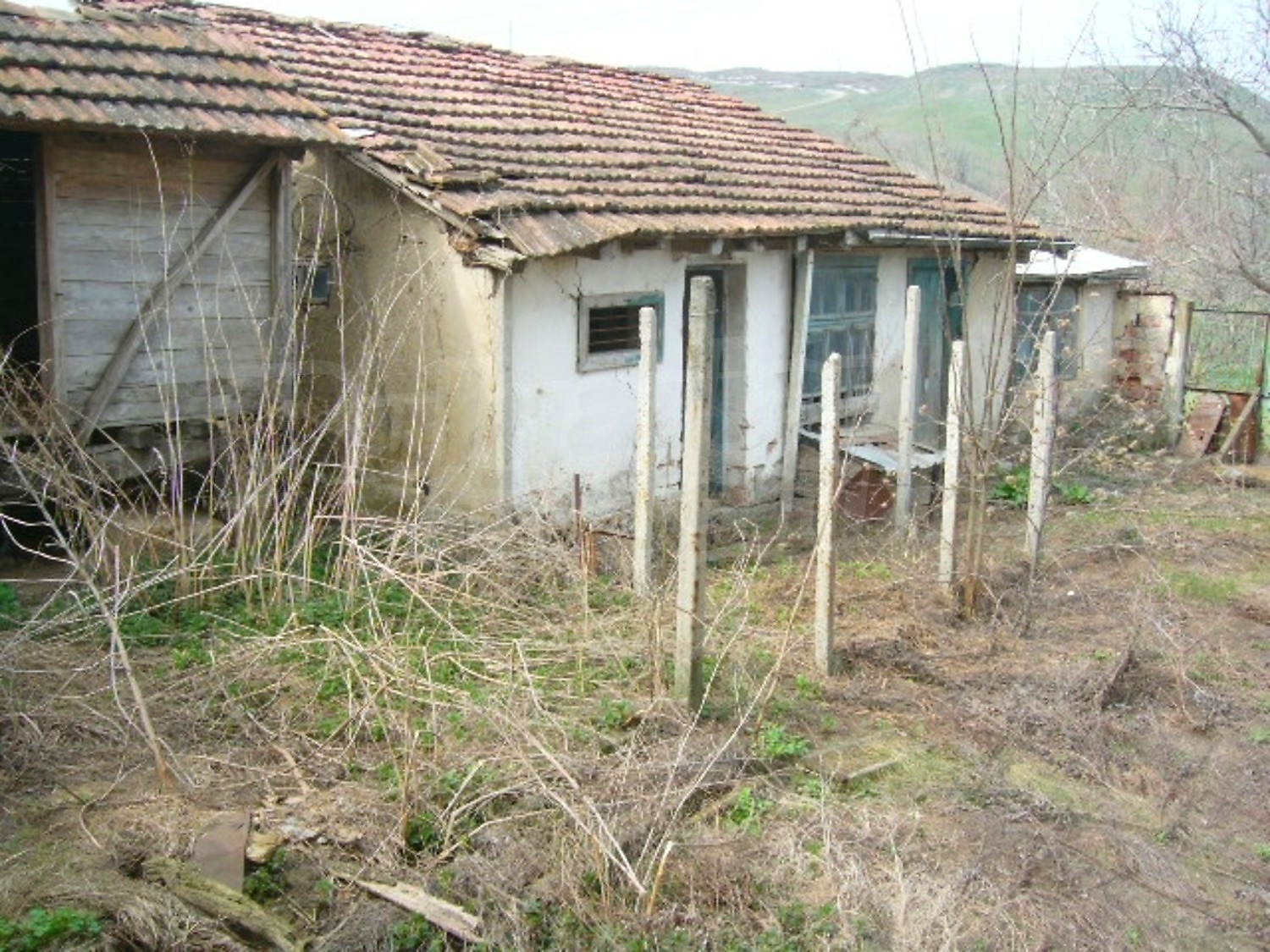 Gallery Picture 5