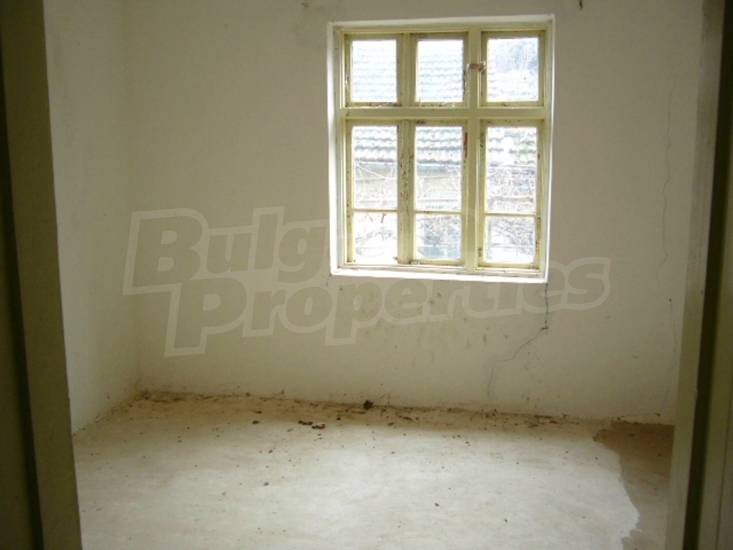 Gallery Picture 8