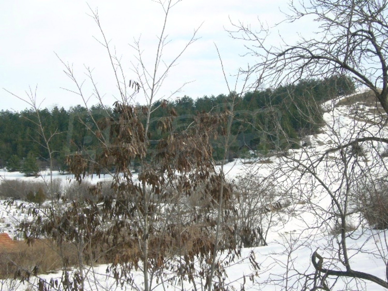 Gallery Picture 10