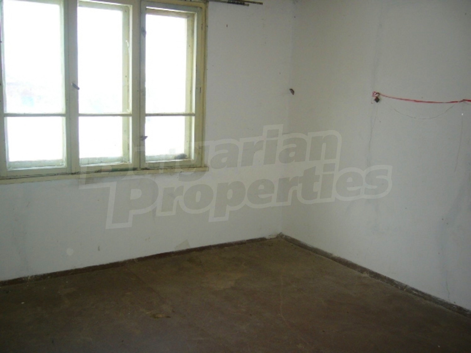 Gallery Picture 4