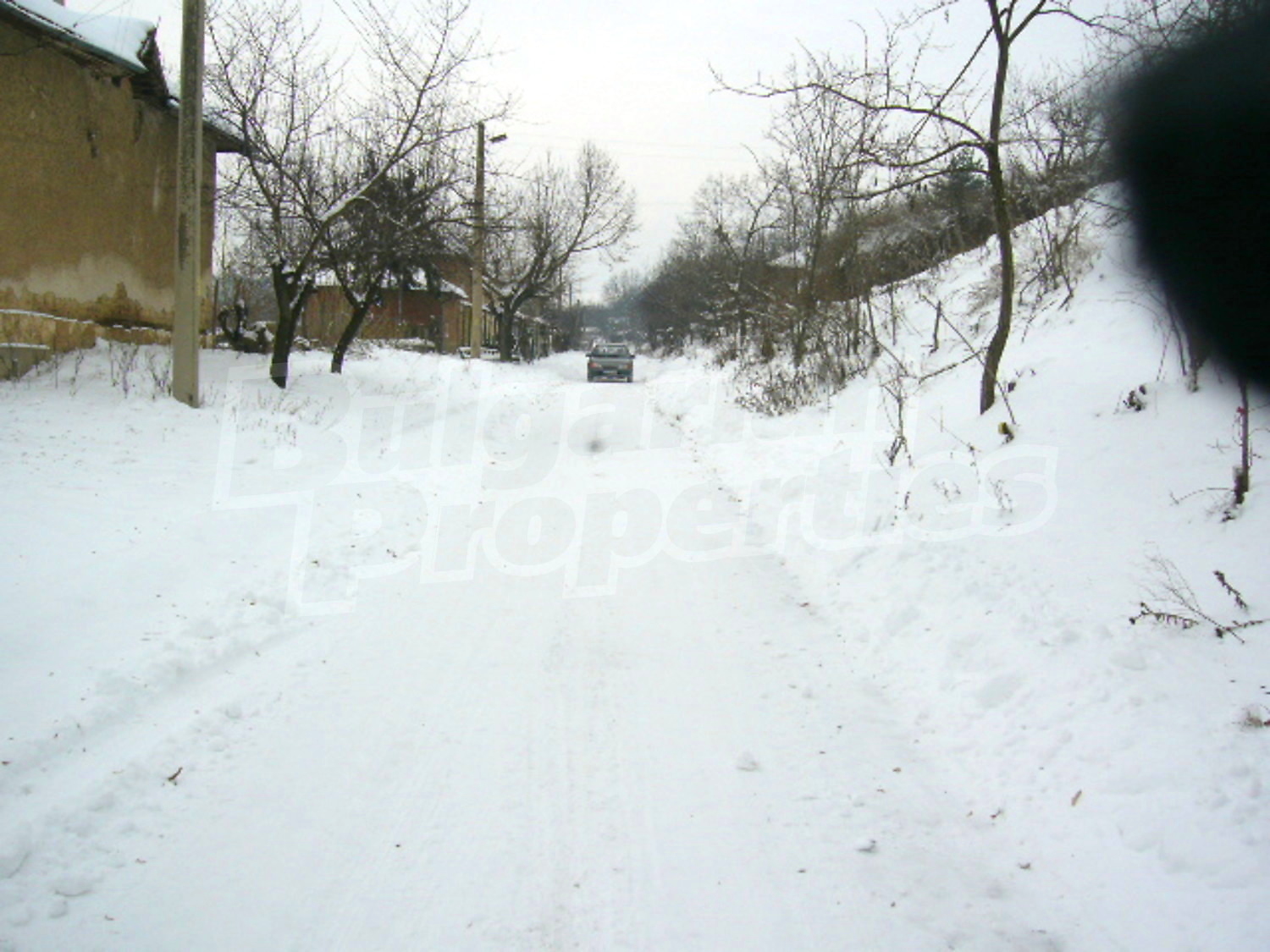 Gallery Picture 13