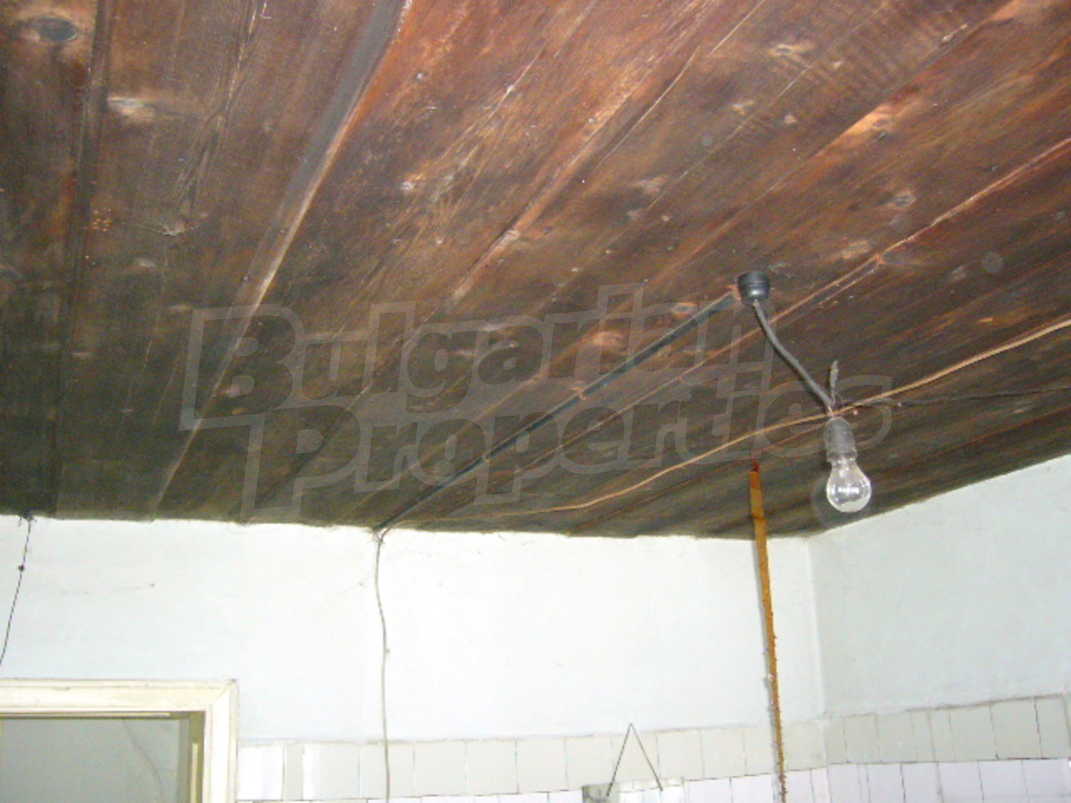 Gallery Picture 7