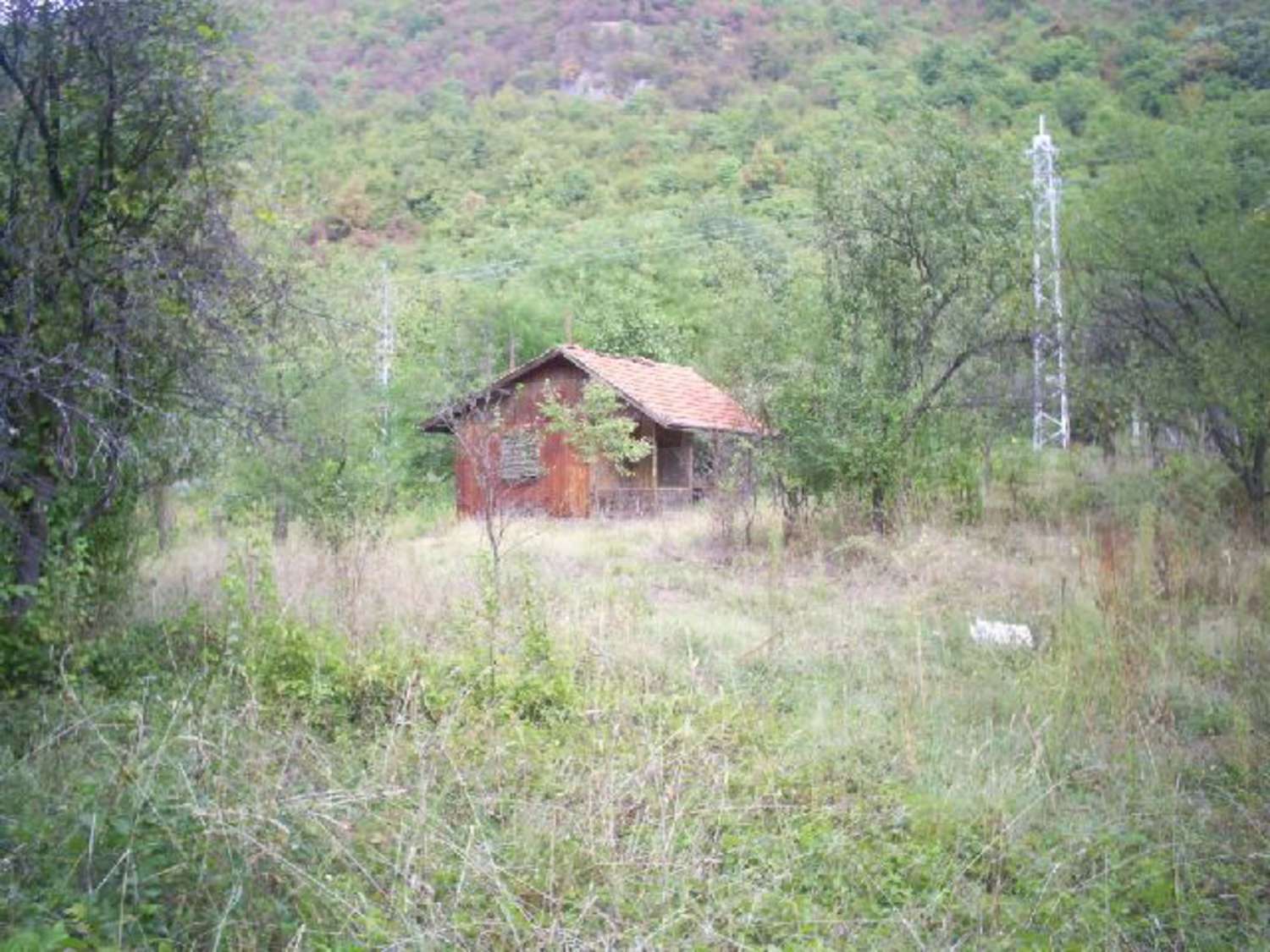 Gallery Picture 3
