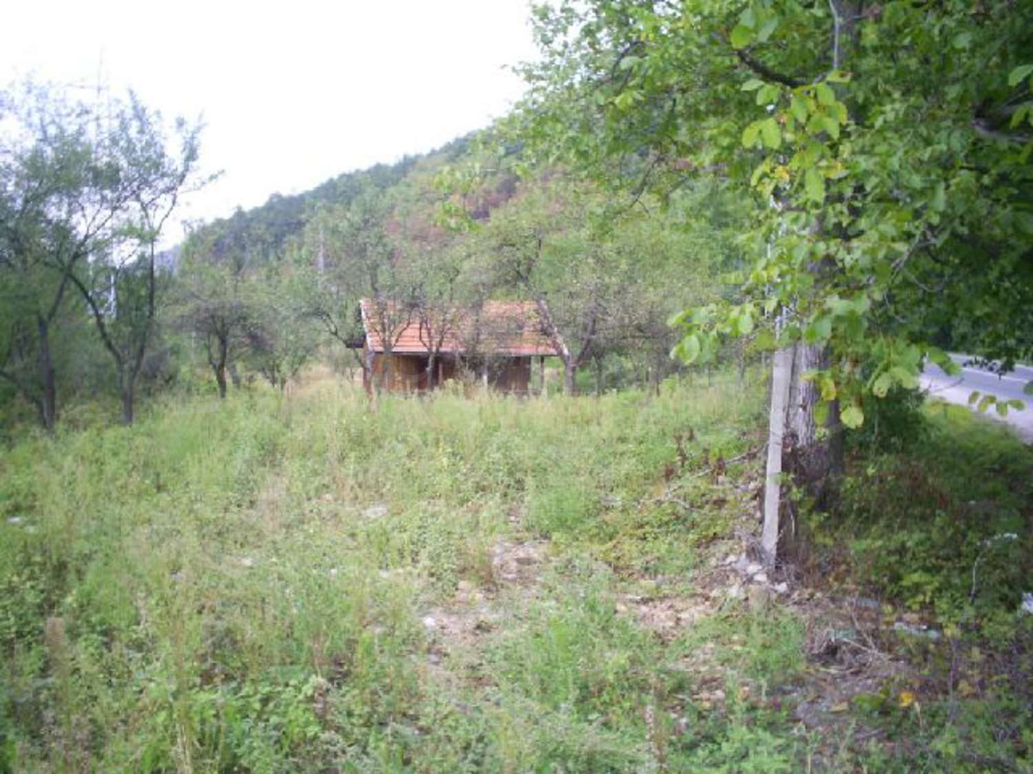 Gallery Picture 4