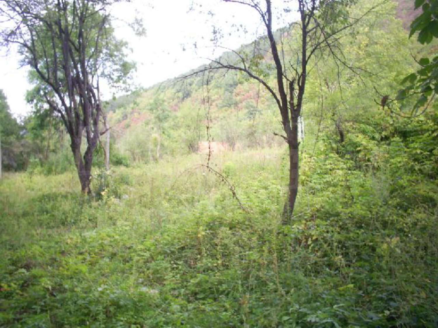 Gallery Picture 5