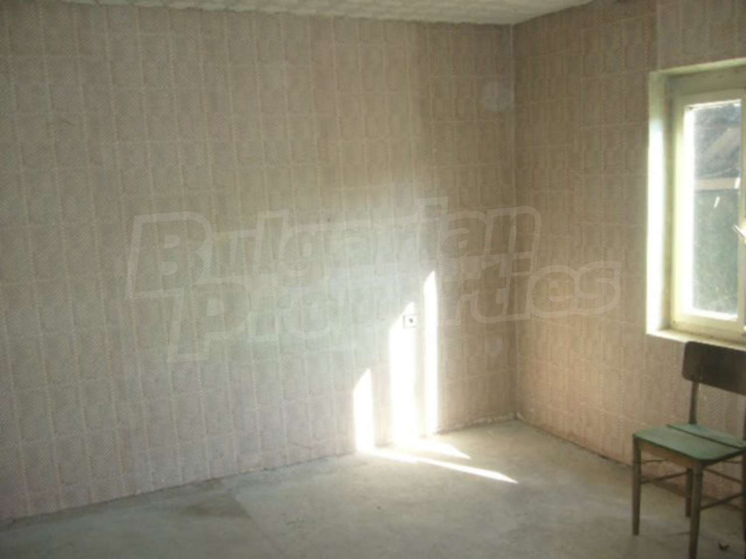 Gallery Picture 11