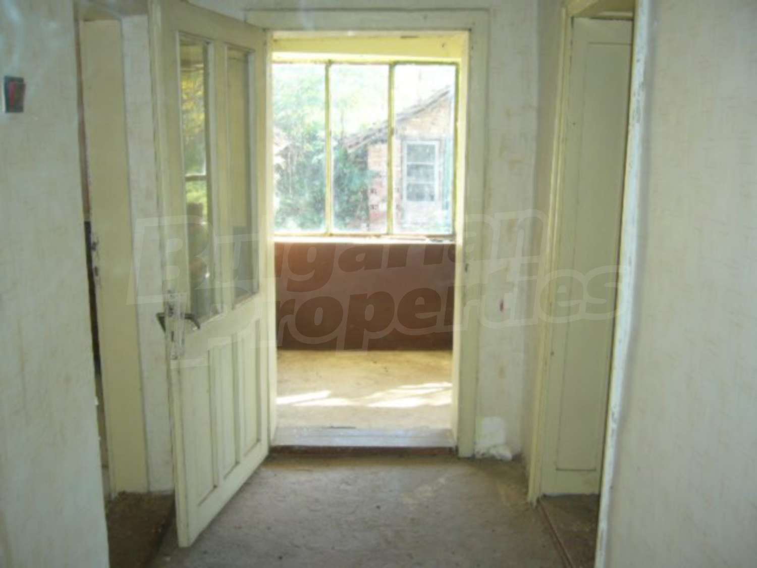 Gallery Picture 14