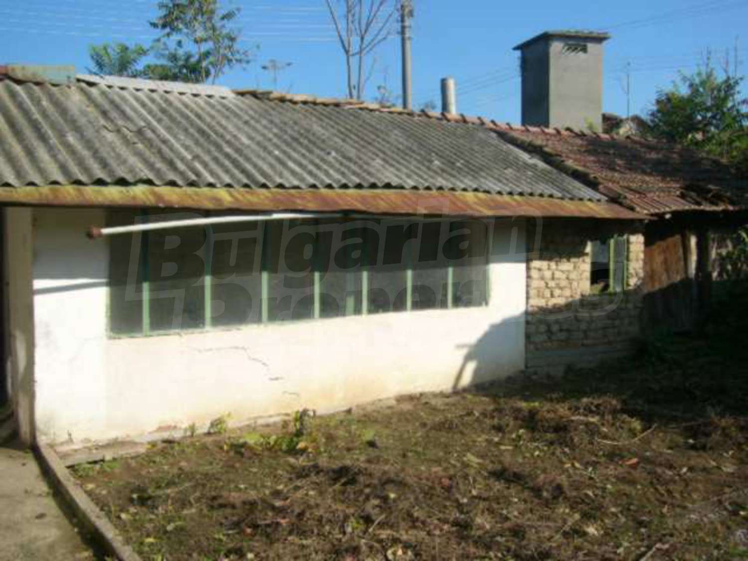 Gallery Picture 17