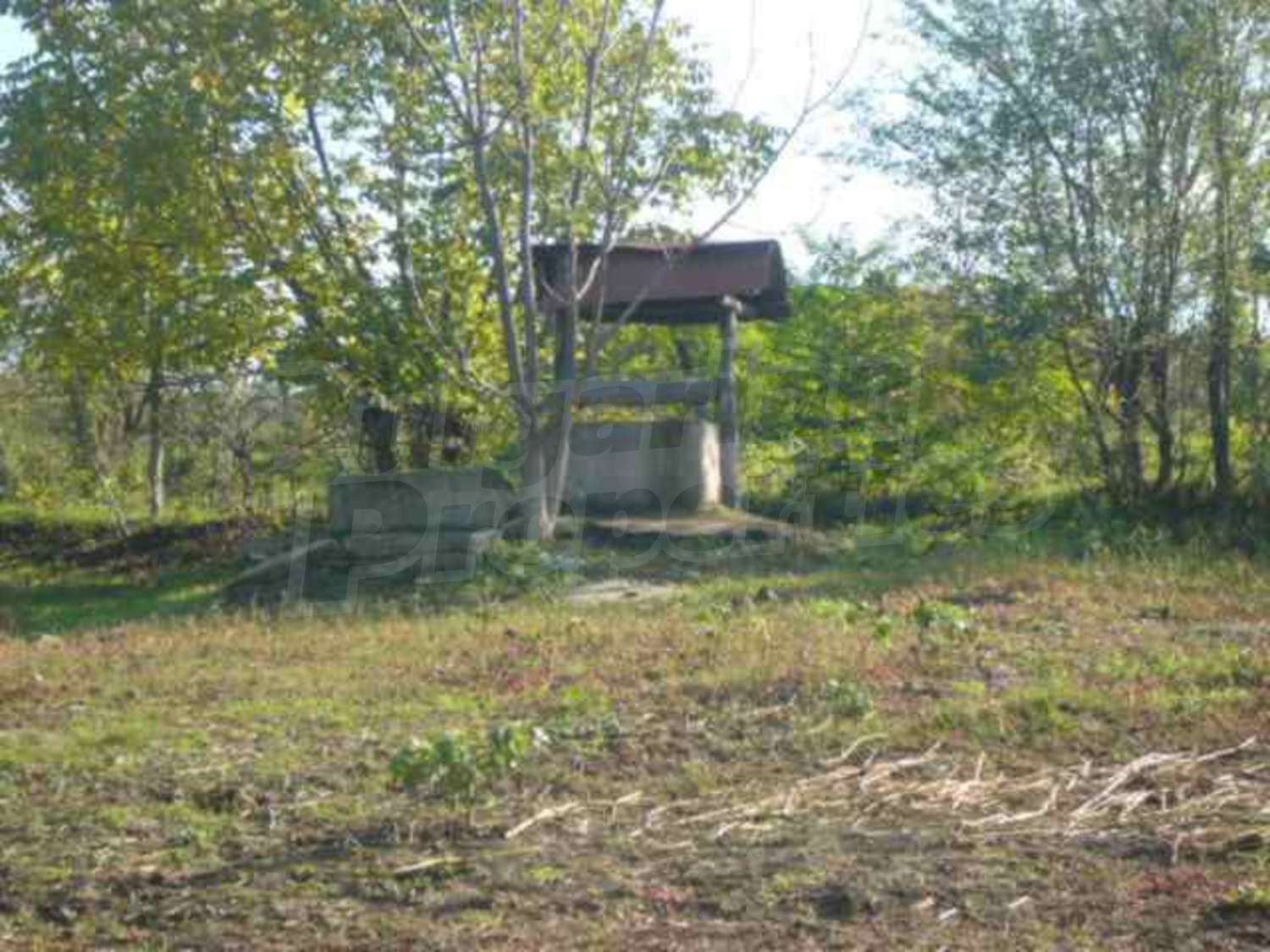 Gallery Picture 20