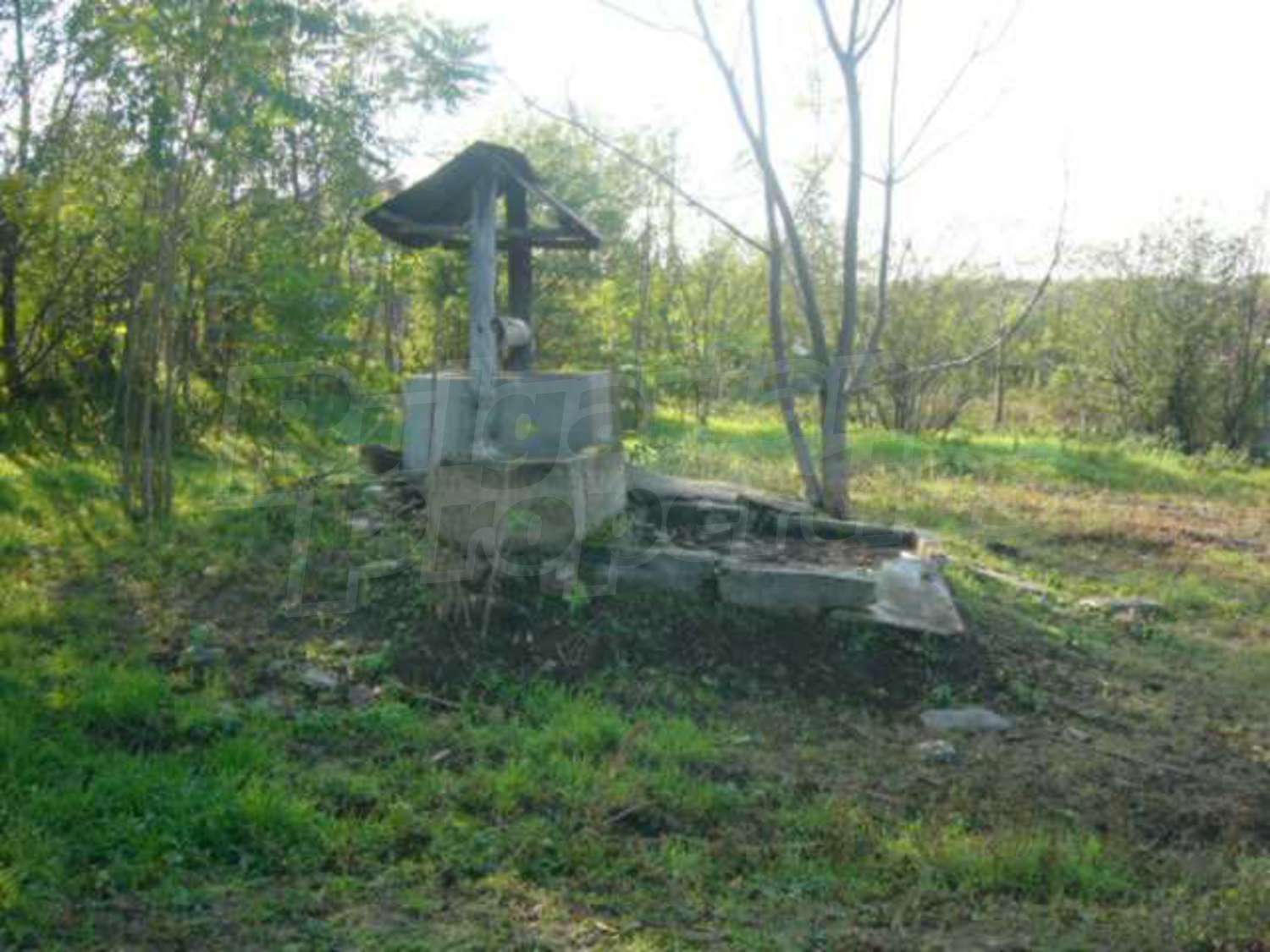 Gallery Picture 23