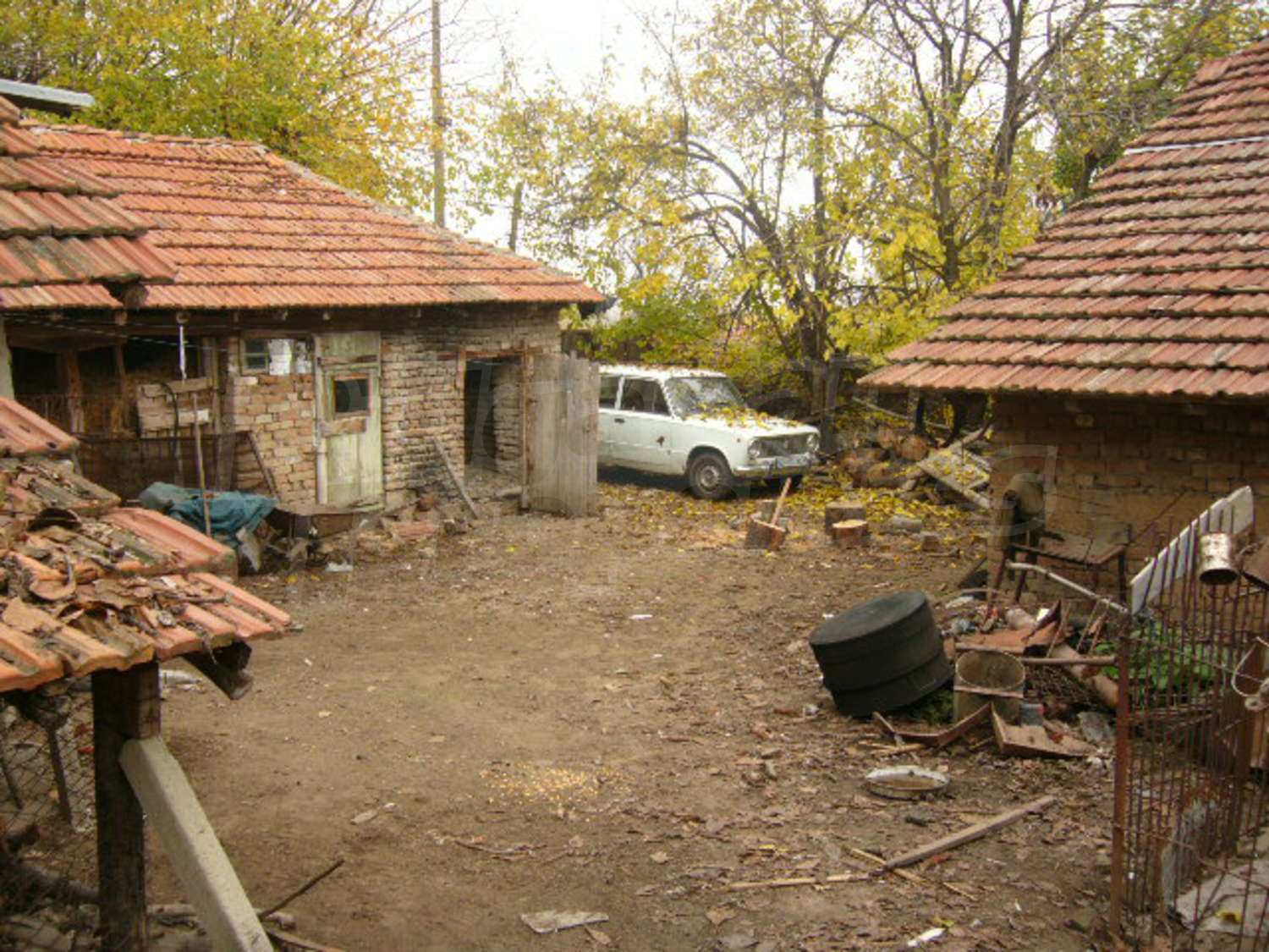 Gallery Picture 11