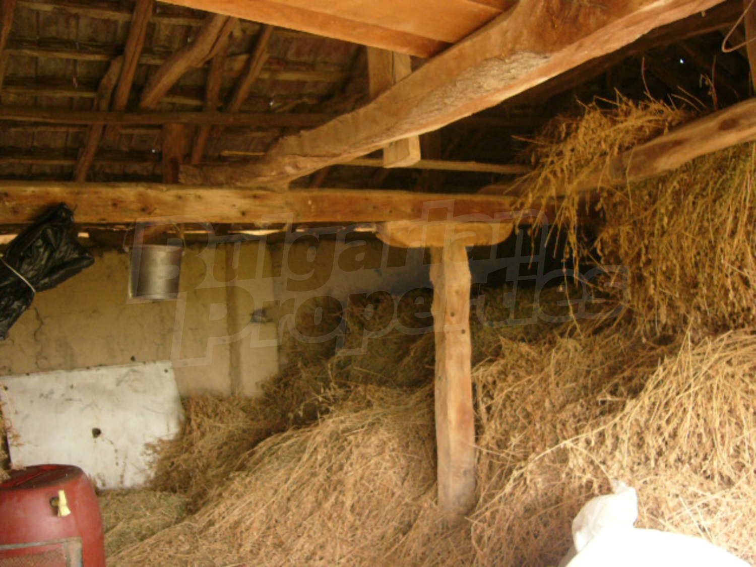 Gallery Picture 14