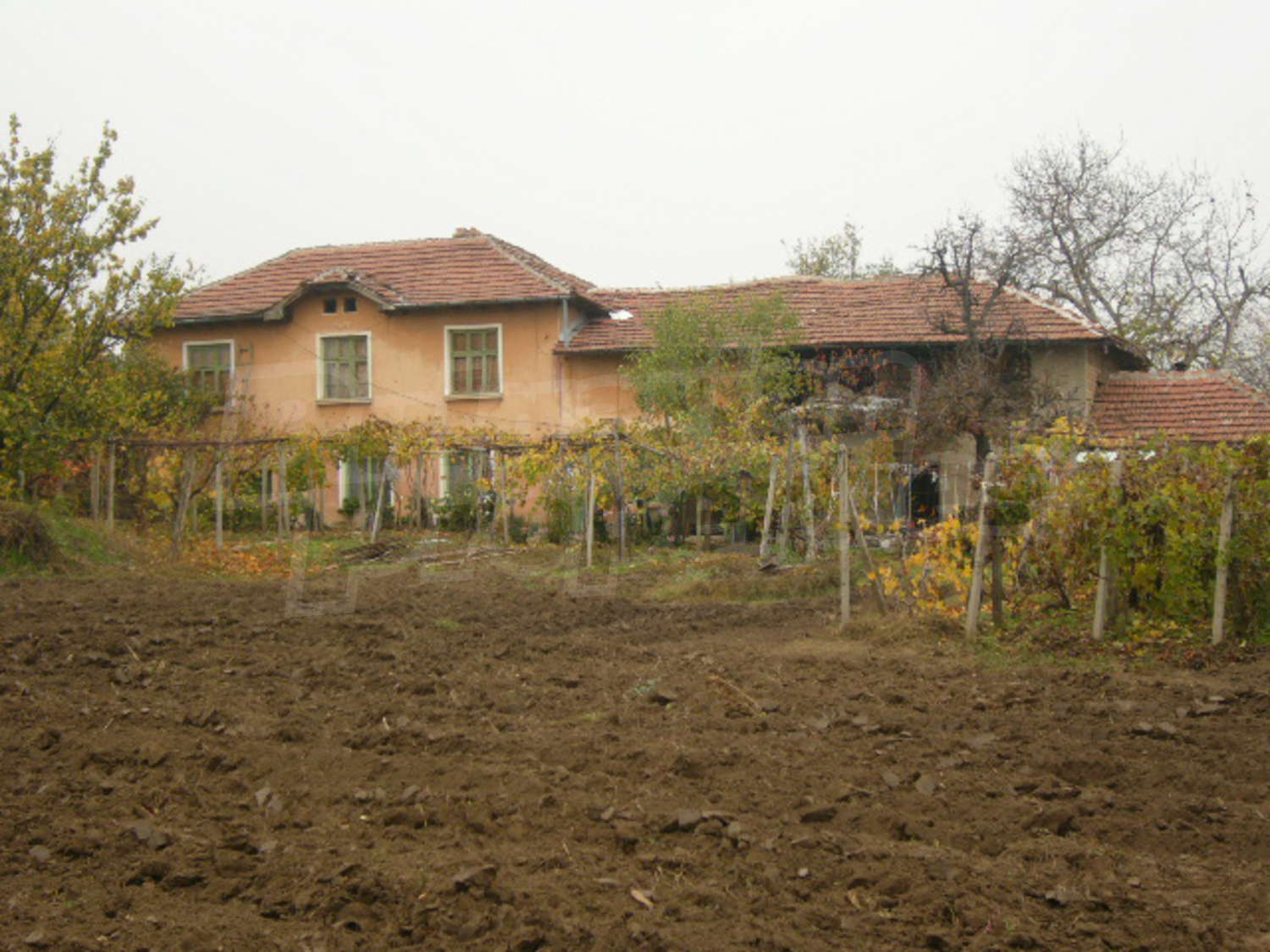 Gallery Picture 18