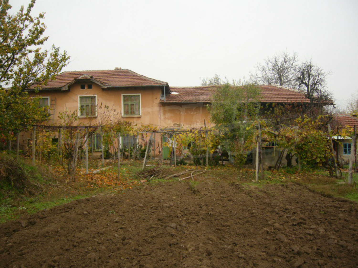 Gallery Picture 19