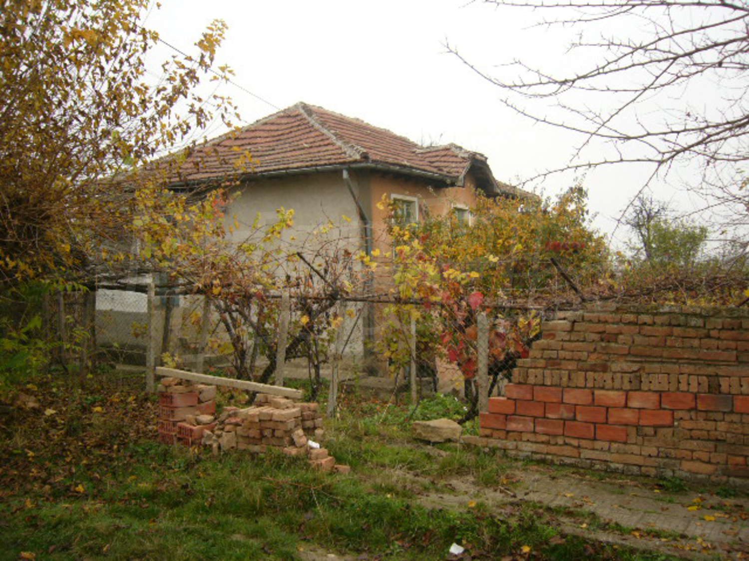 Gallery Picture 20