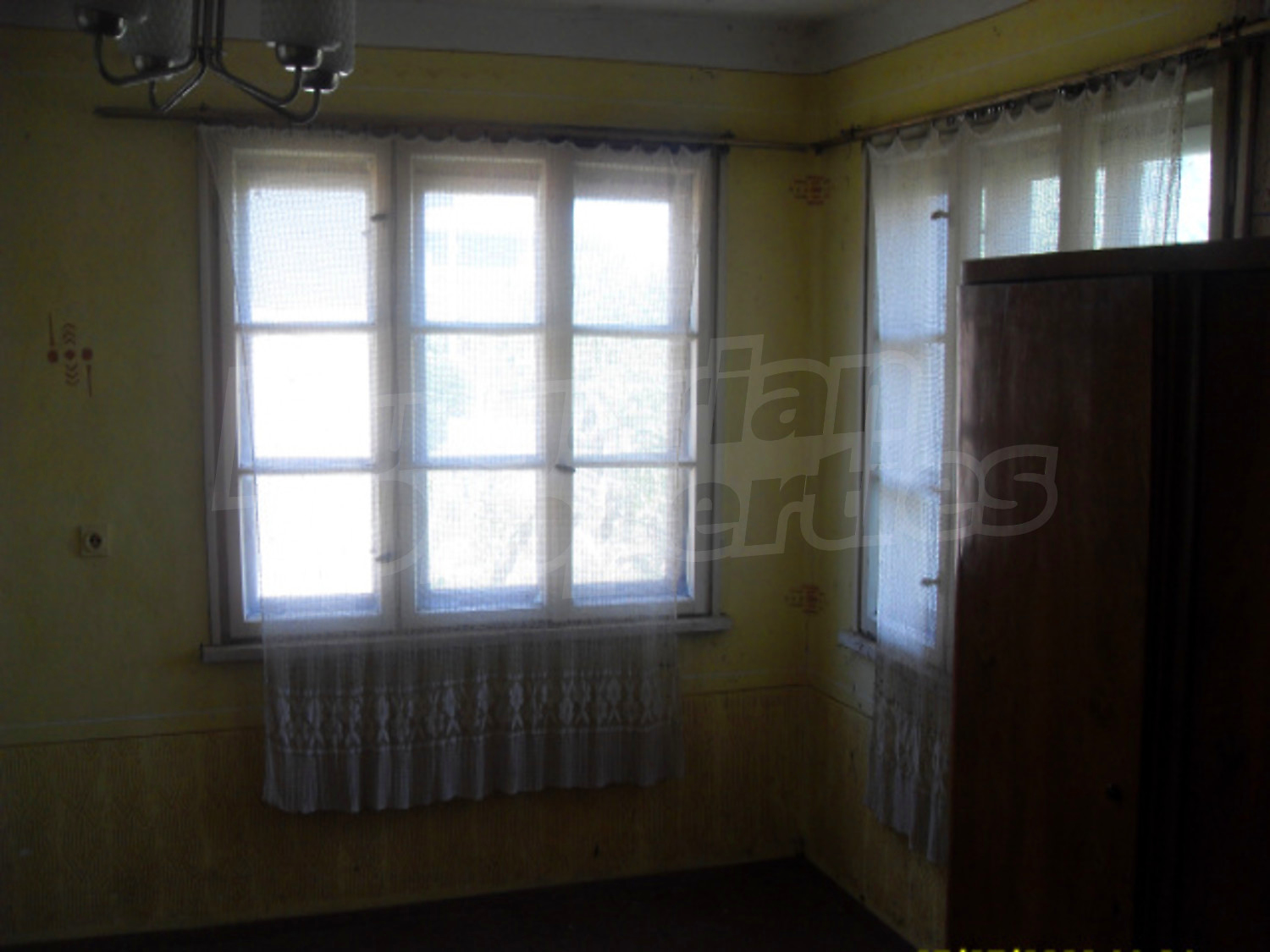 Gallery Picture 10