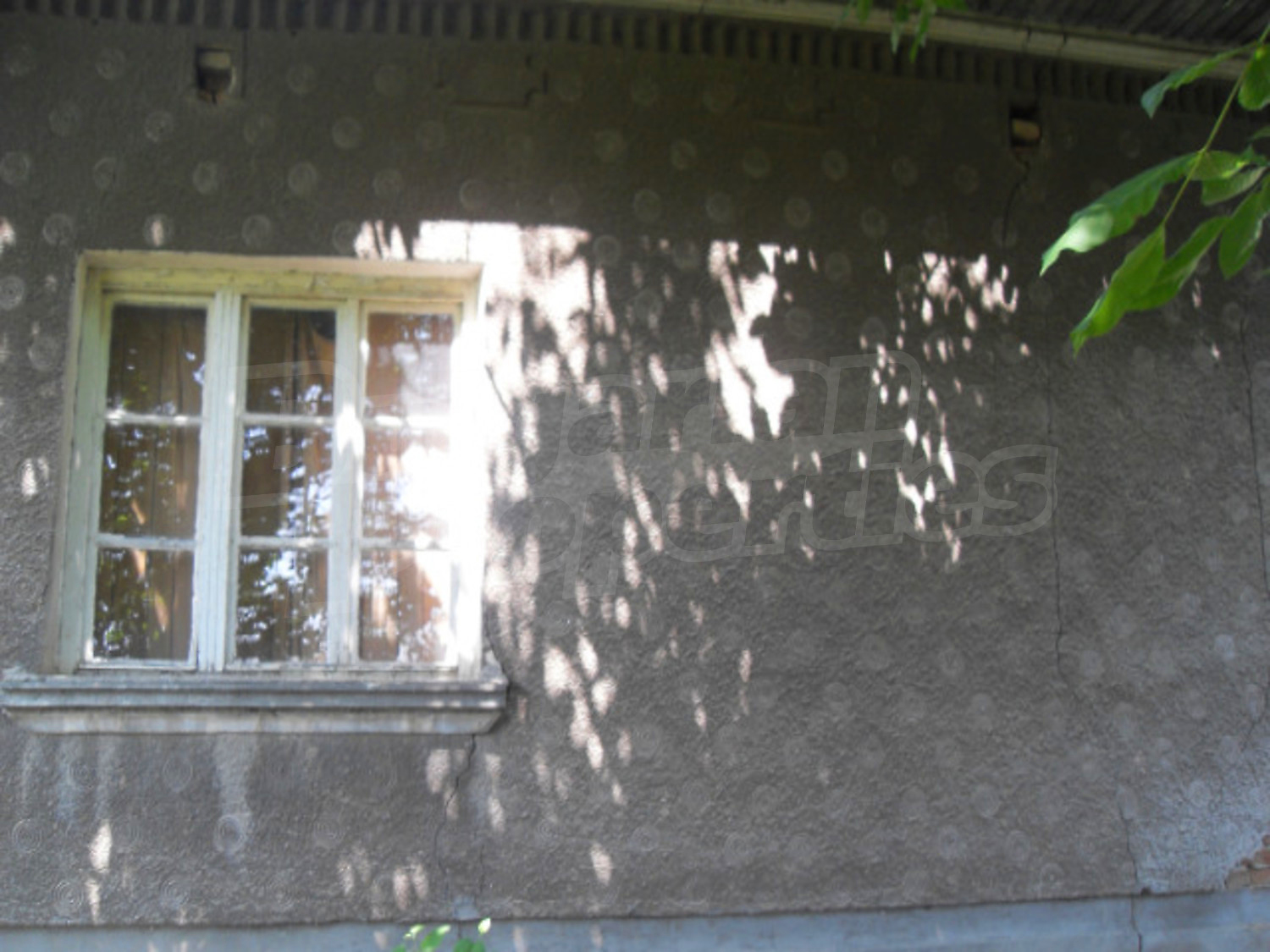 Gallery Picture 11