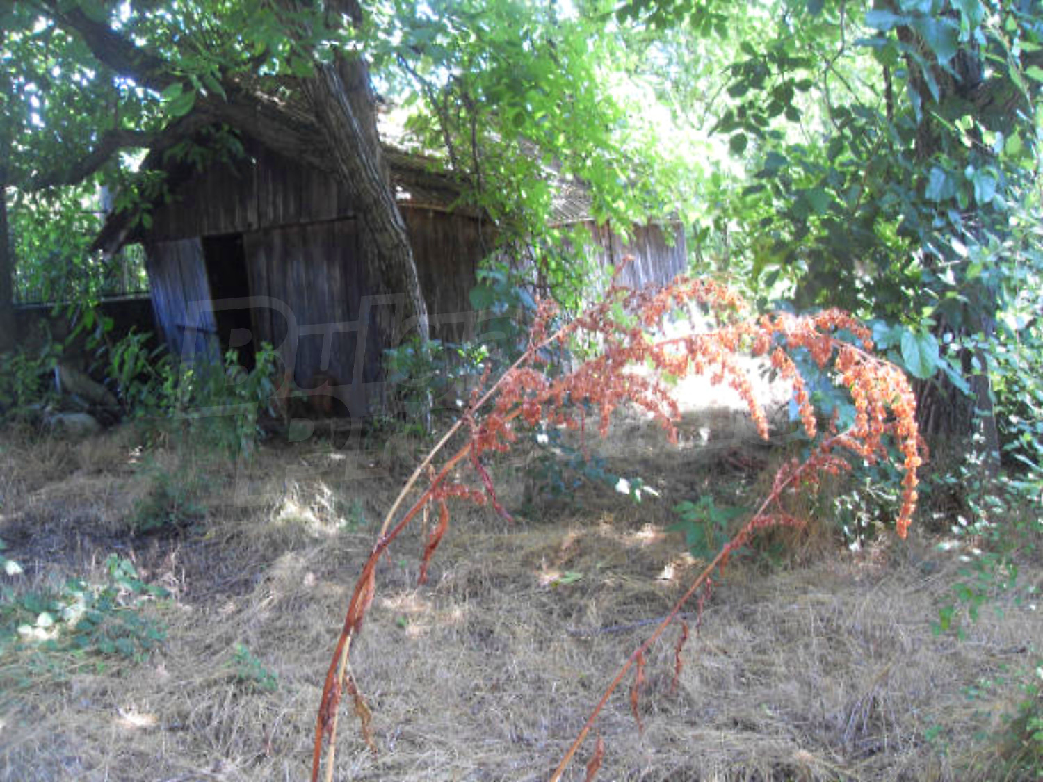 Gallery Picture 15
