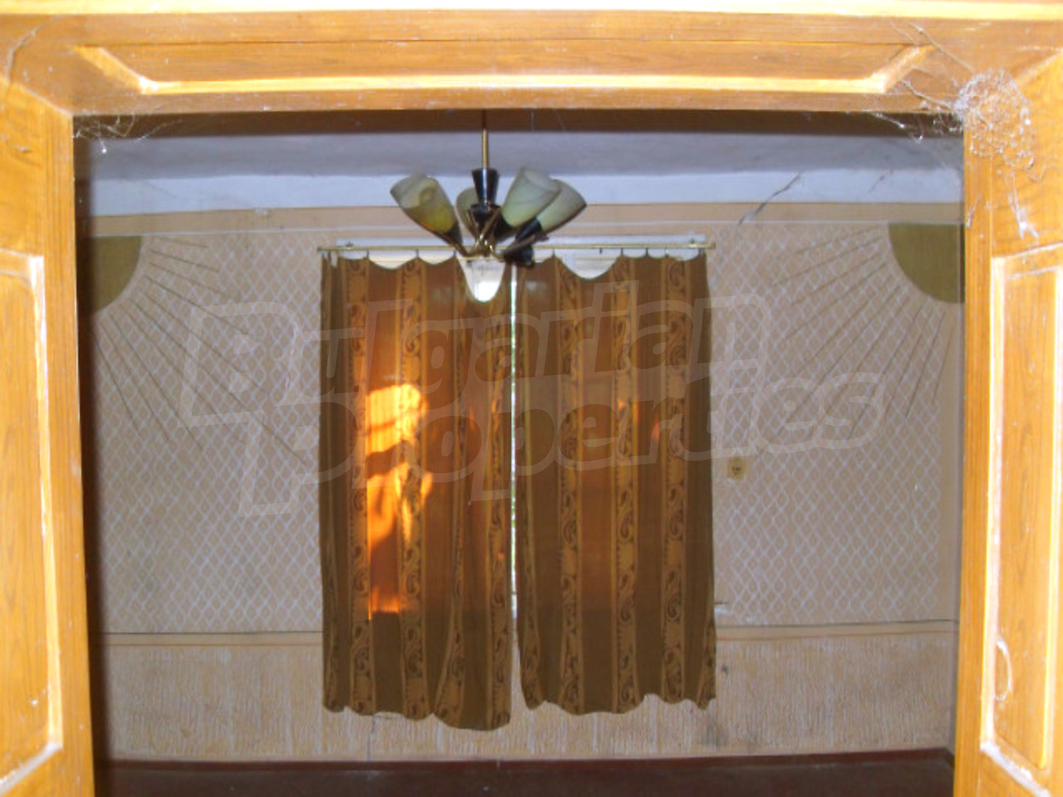 Gallery Picture 6