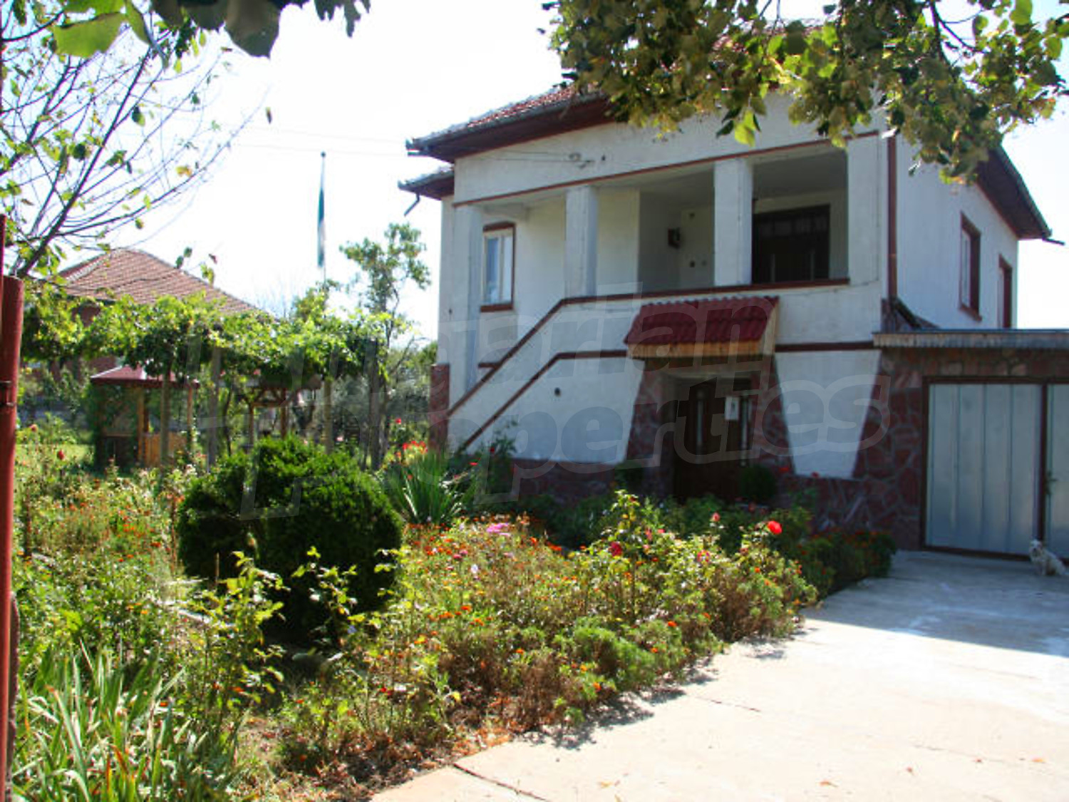 Gallery Picture 19
