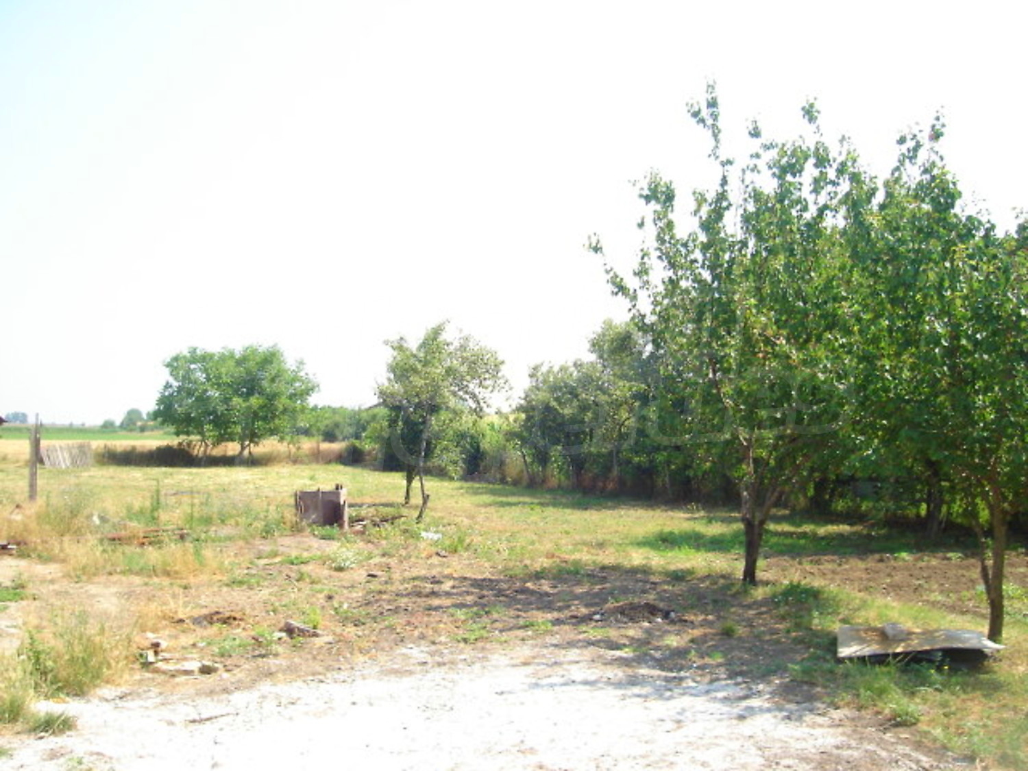 Gallery Picture 21