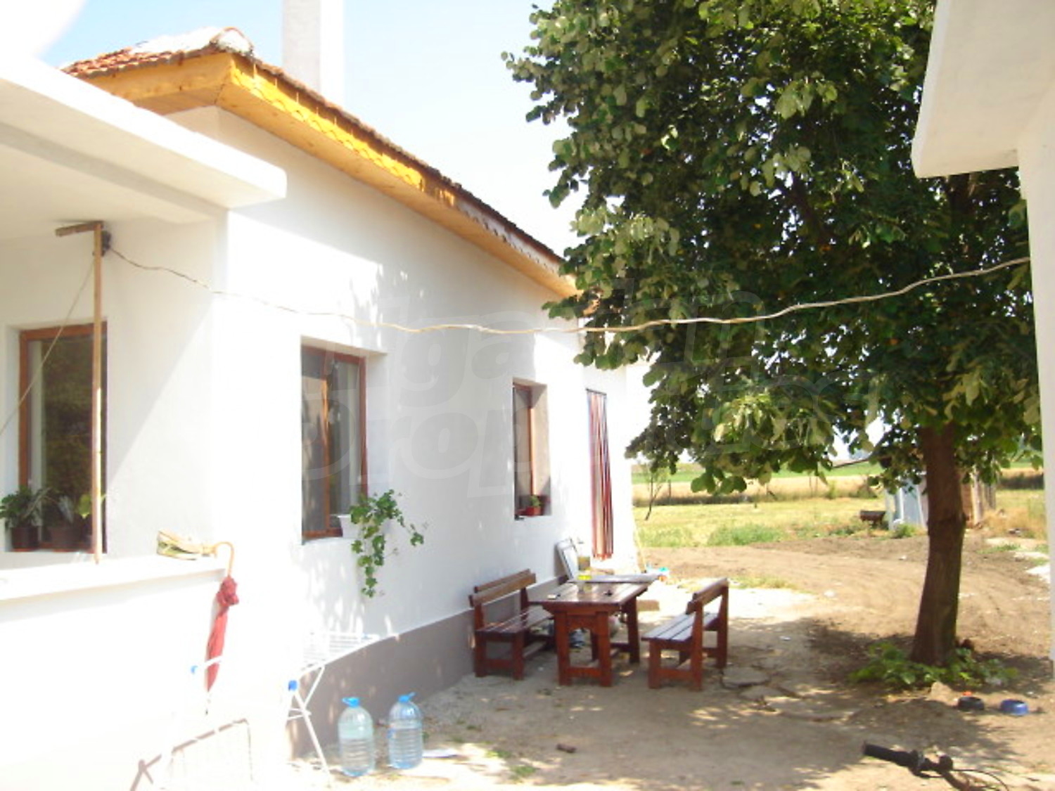 Gallery Picture 6