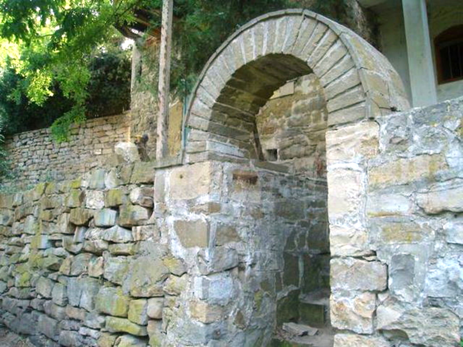 Gallery Picture 7