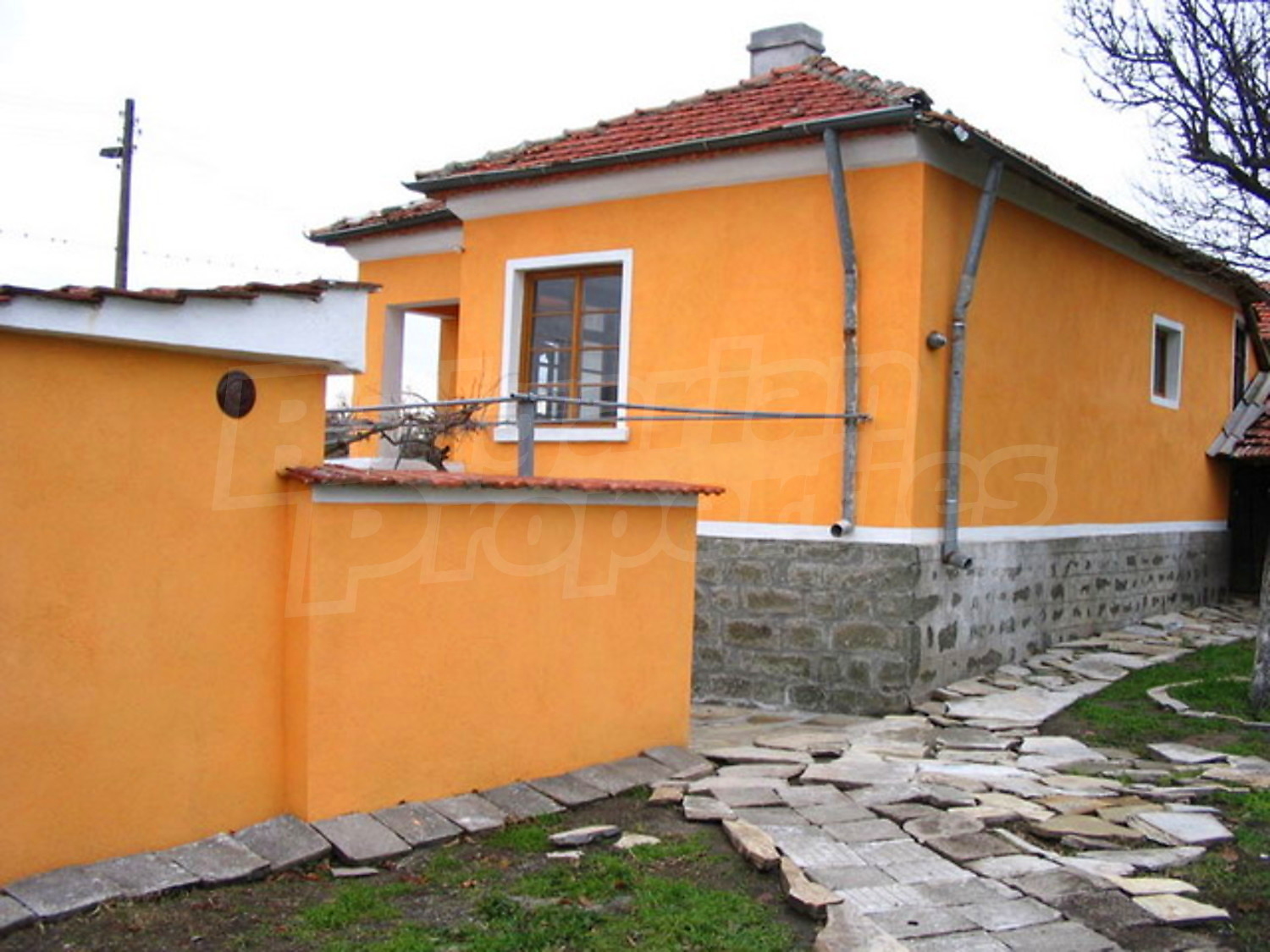 Gallery Picture 22
