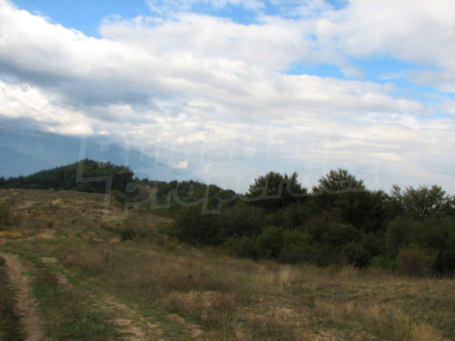 Gallery Picture 7