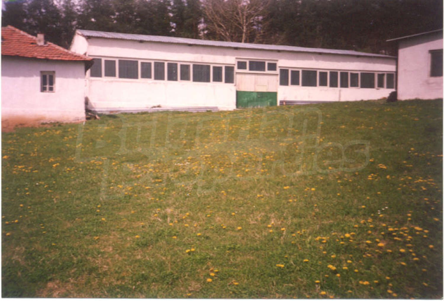 Gallery Picture 4