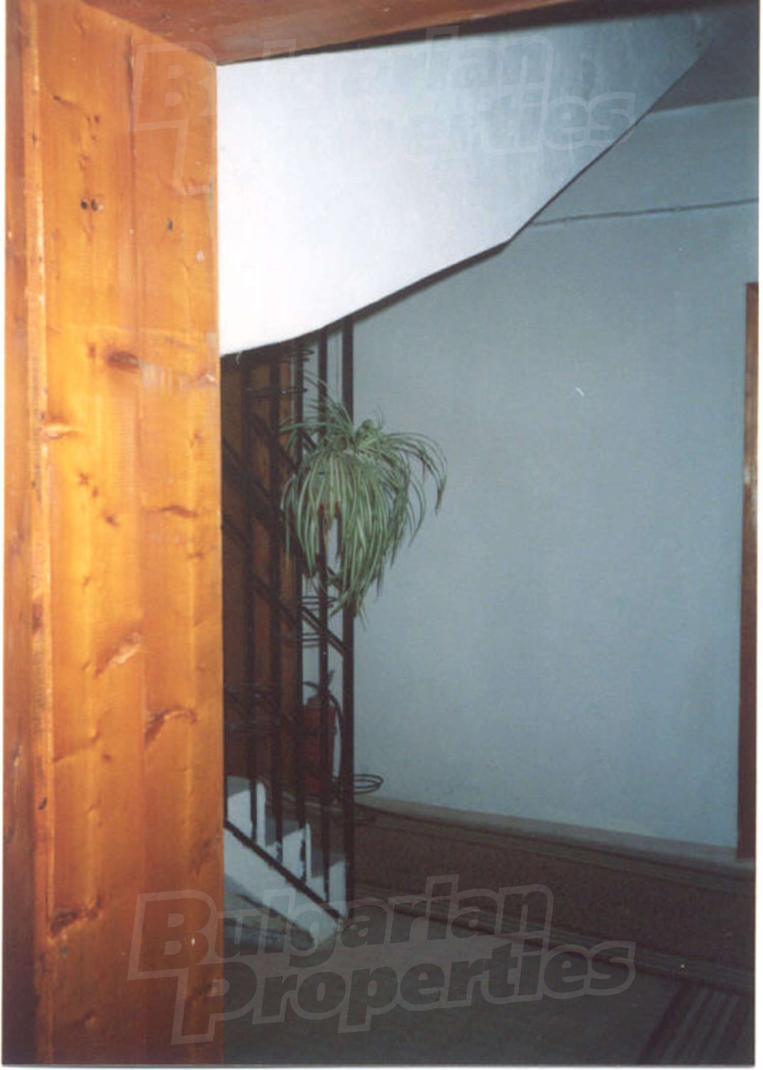 Gallery Picture 9