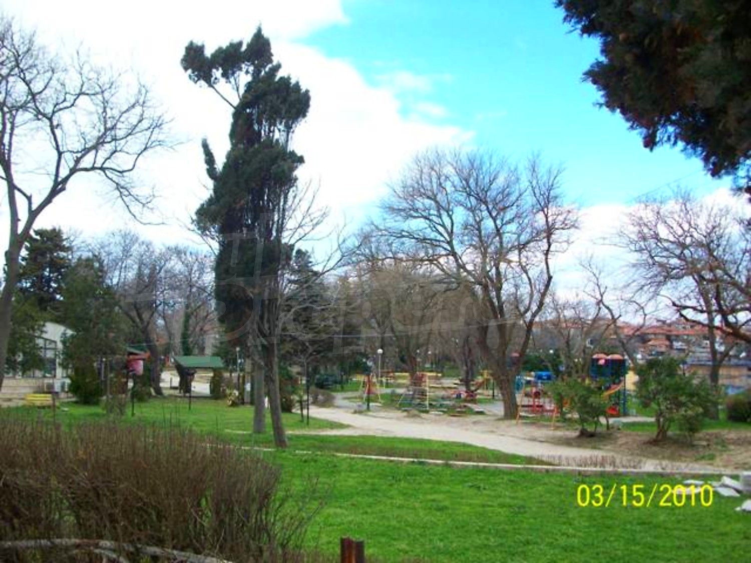 Gallery Picture 19