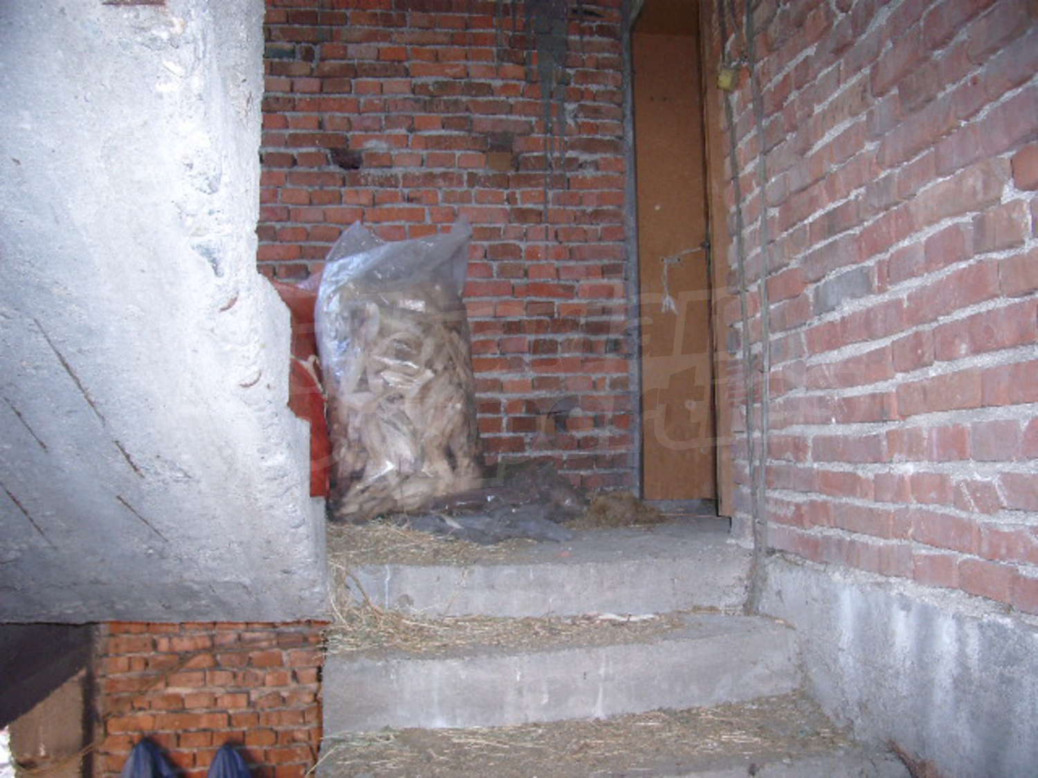 Gallery Picture 3