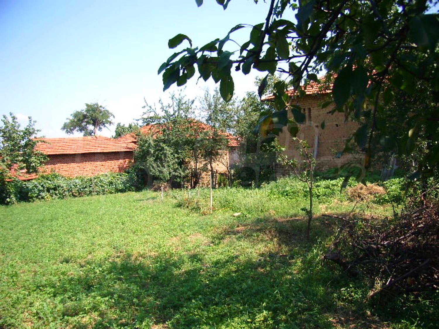 Gallery Picture 7