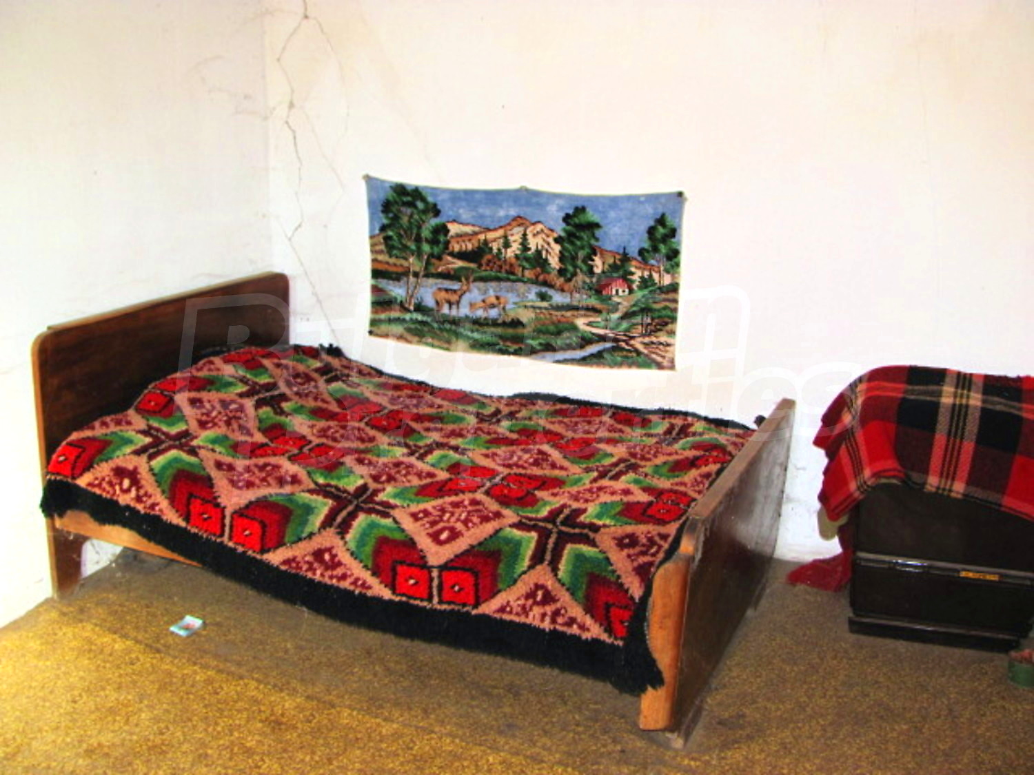 Gallery Picture 11