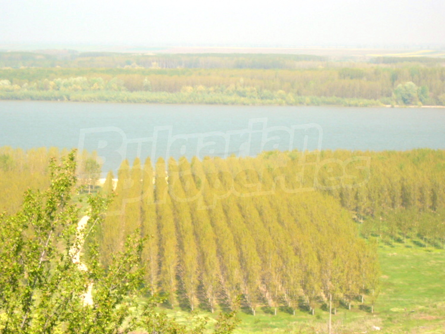 Gallery Picture 12