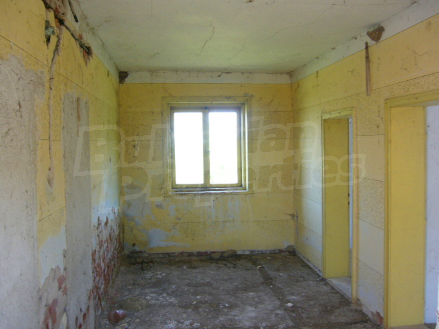 Gallery Picture 5
