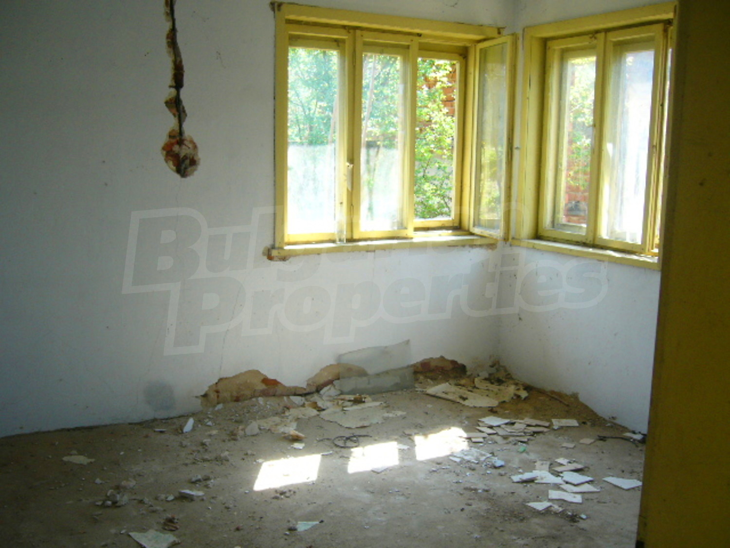 Gallery Picture 6