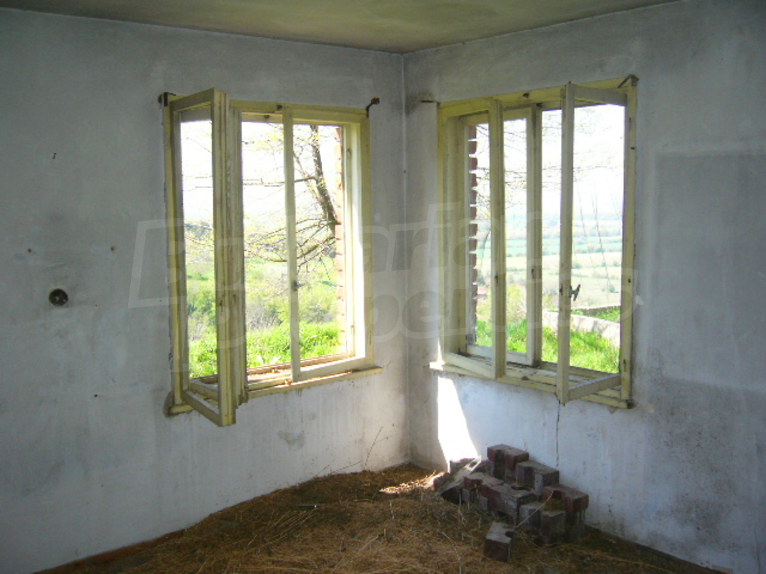 Gallery Picture 7