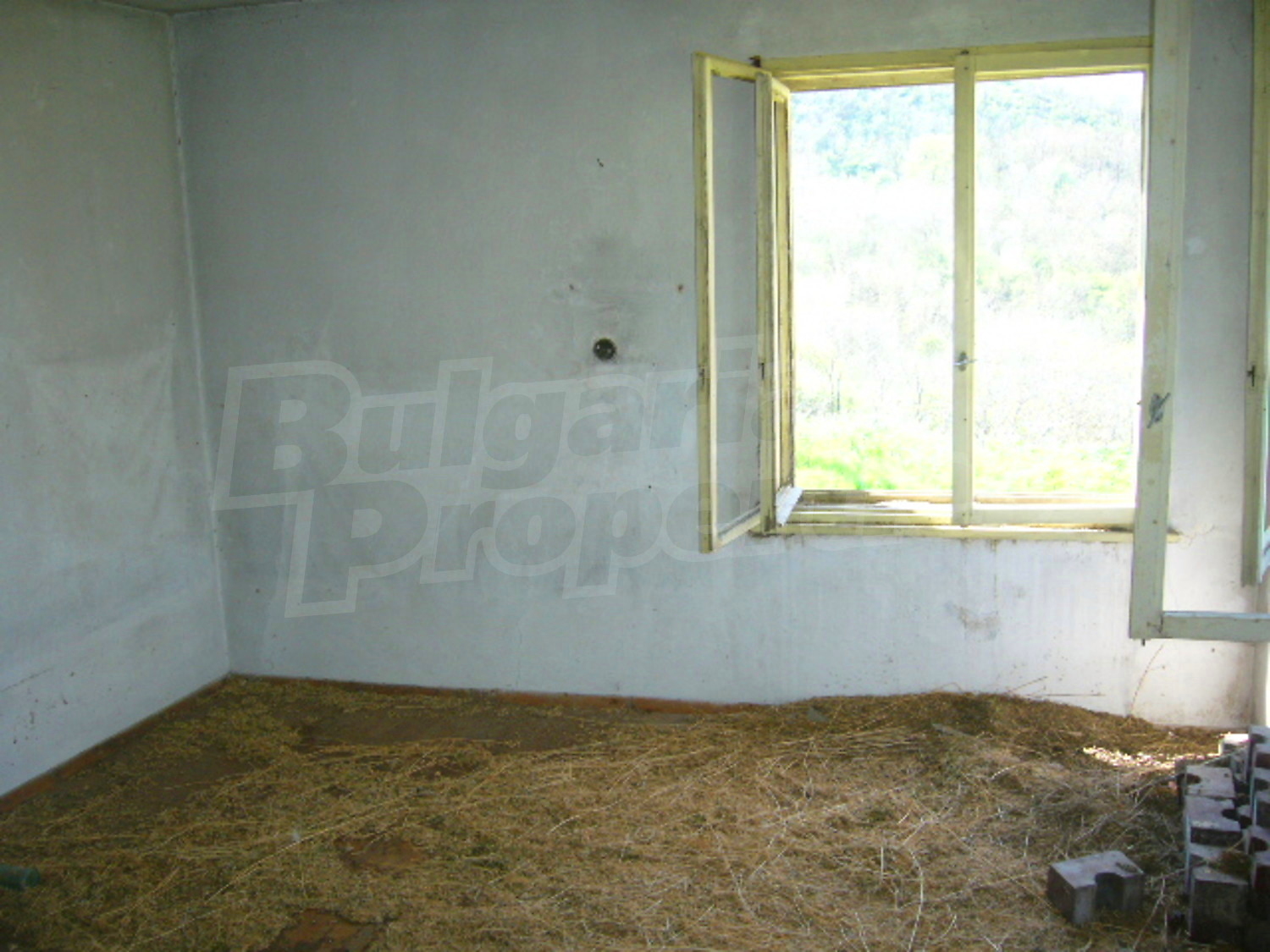 Gallery Picture 8