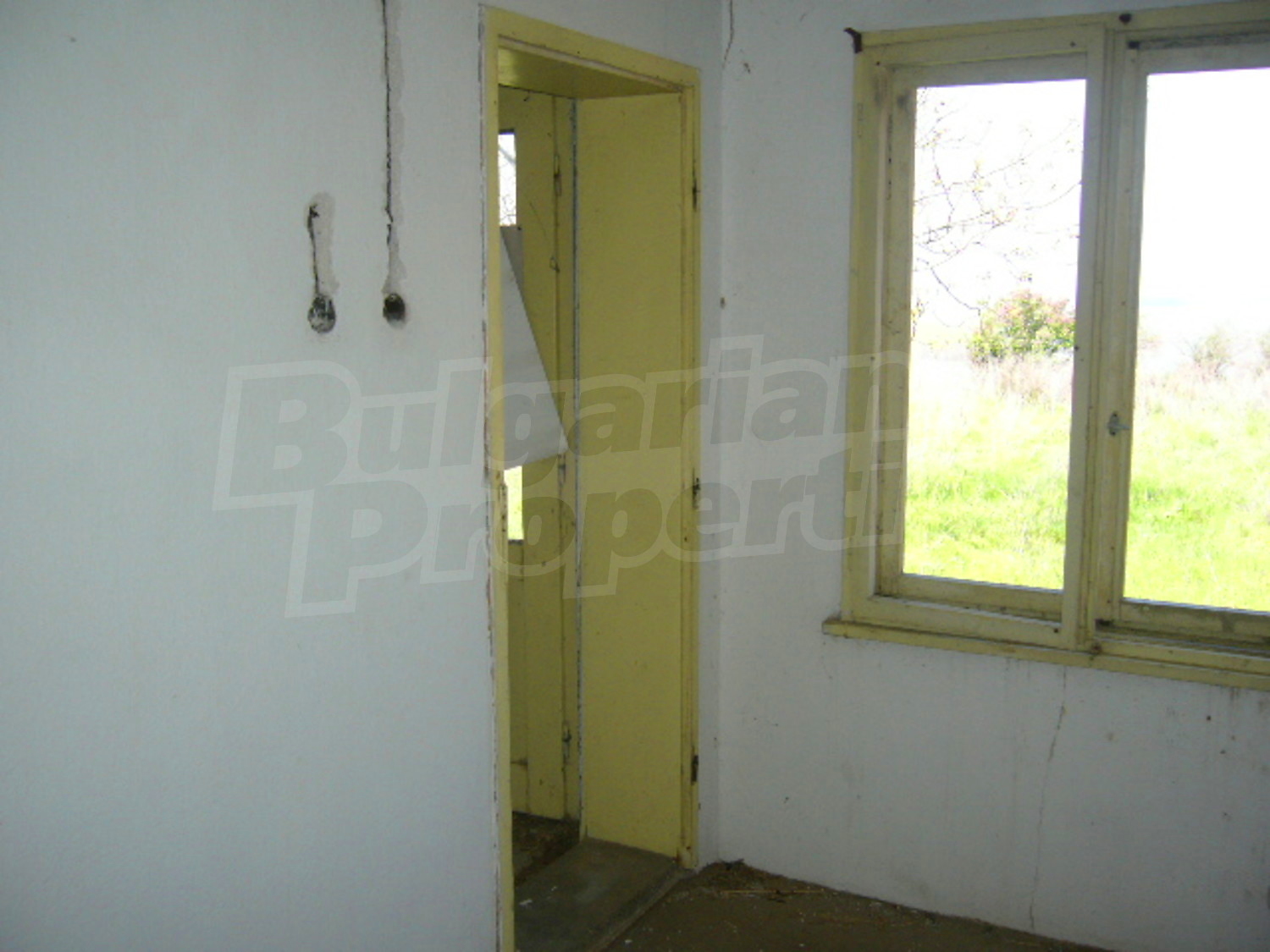 Gallery Picture 9
